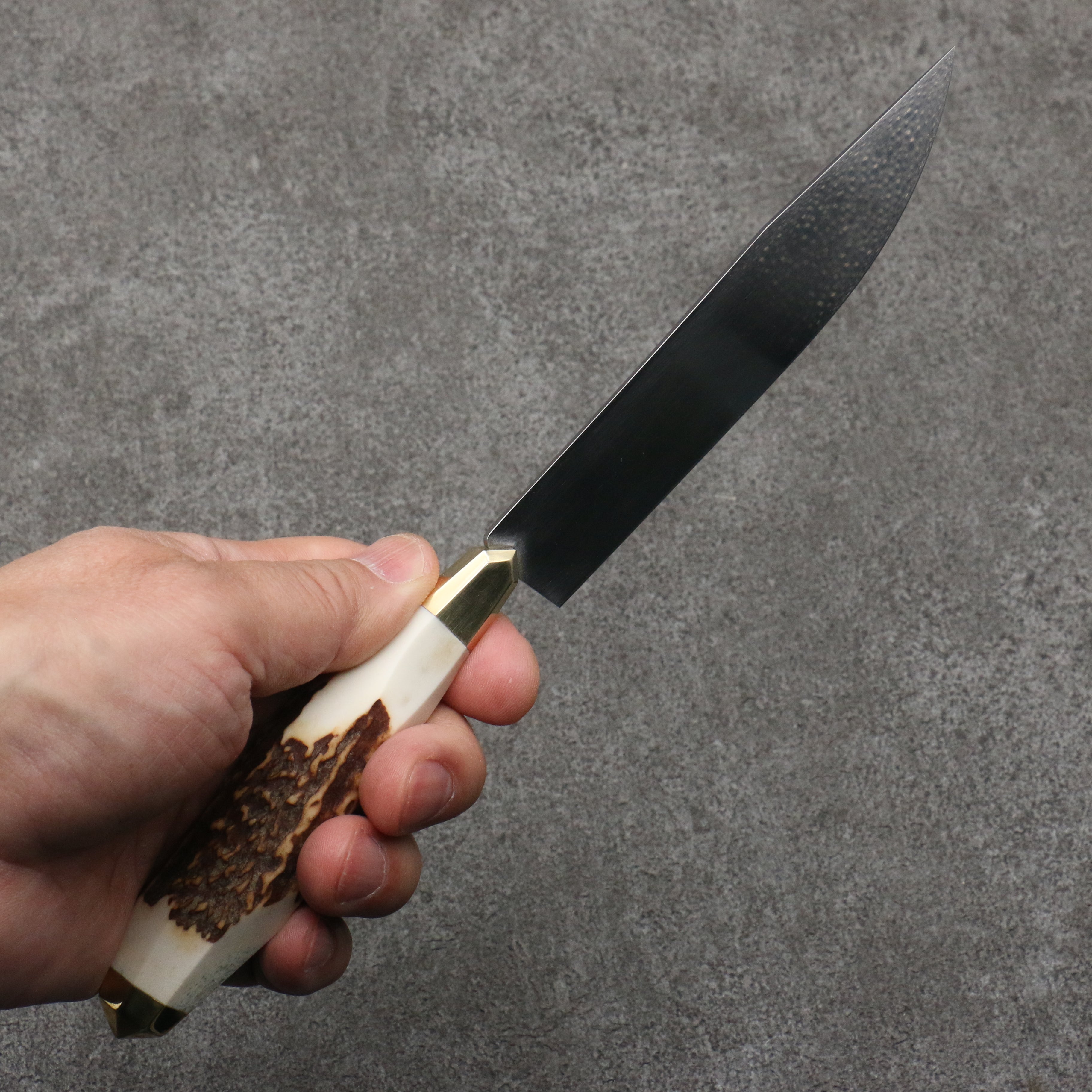 Meguru Stainless Steel Steak Stag Handle - Japanny - Best Japanese Knife
