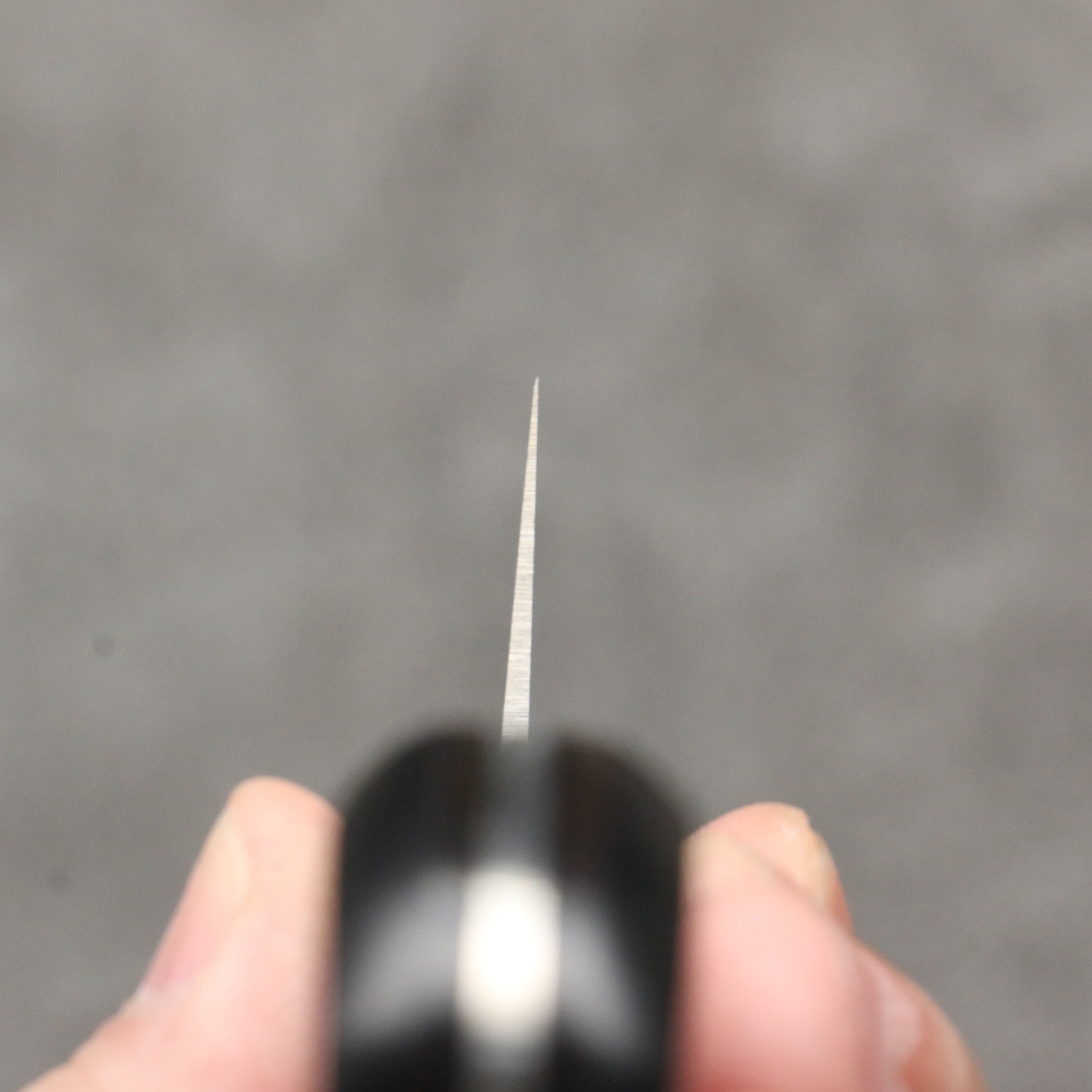 Sakai Takayuki Grand Chef Swedish Steel-stn Gyuto 210mm Black Pakka wood Handle - Japanny - Best Japanese Knife