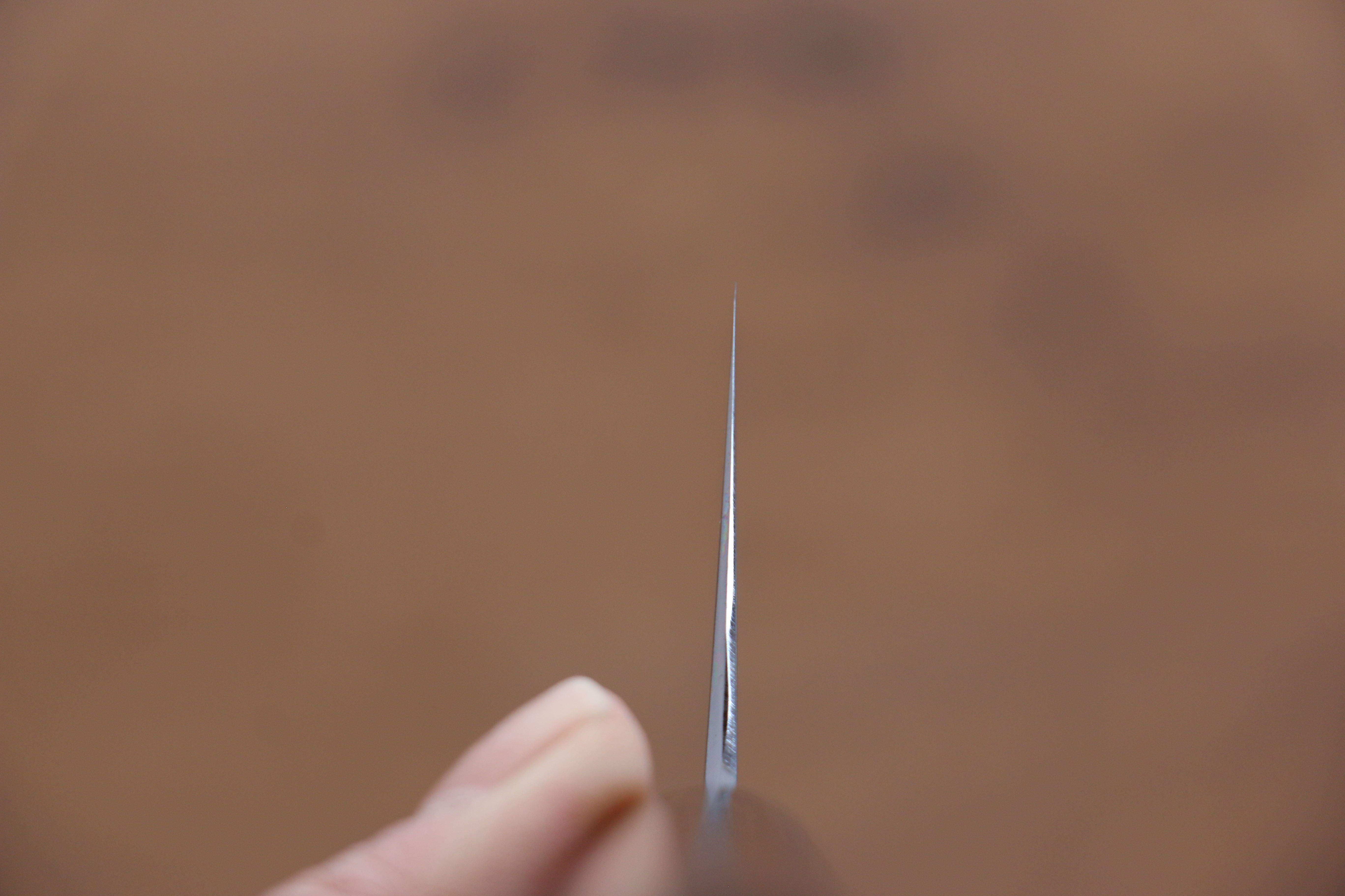 Jikko White Steel No.2 Gyuto 240mm Shitan Handle - Japanny - Best Japanese Knife