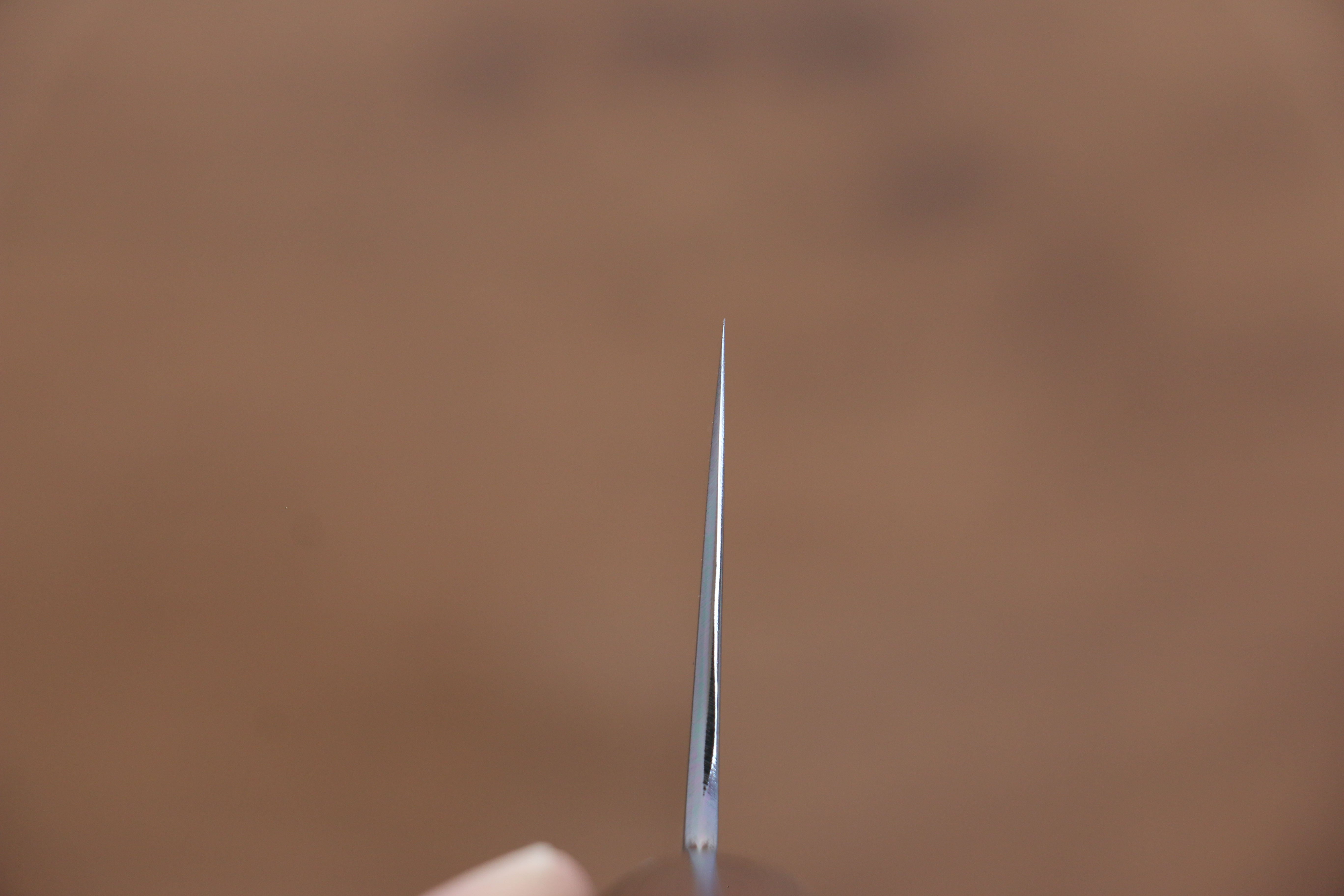 Jikko White Steel No.2 Gyuto 270mm Shitan Handle - Japanny - Best Japanese Knife