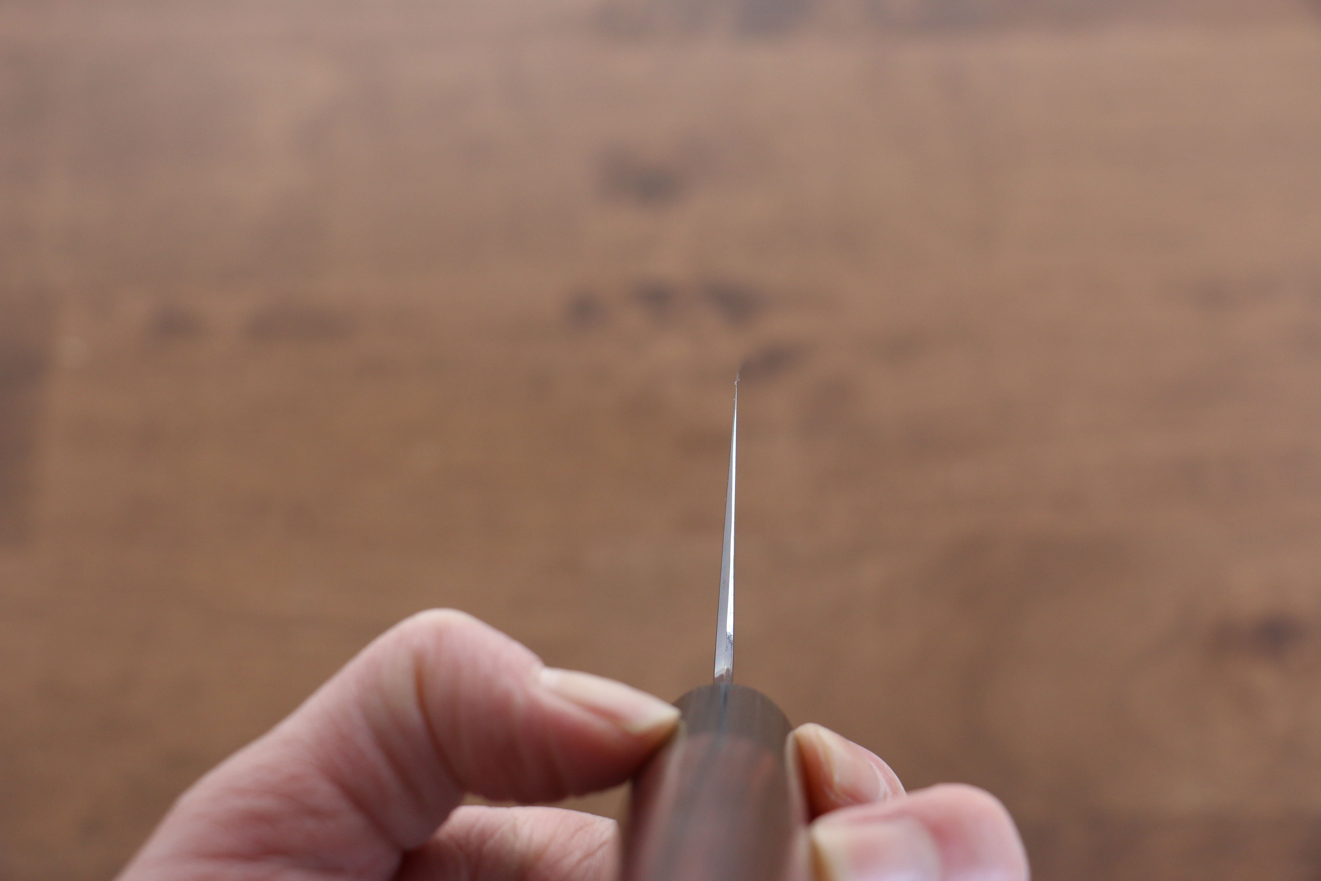 Jikko White Steel No.2 Gyuto 300mm Shitan Handle - Japanny - Best Japanese Knife