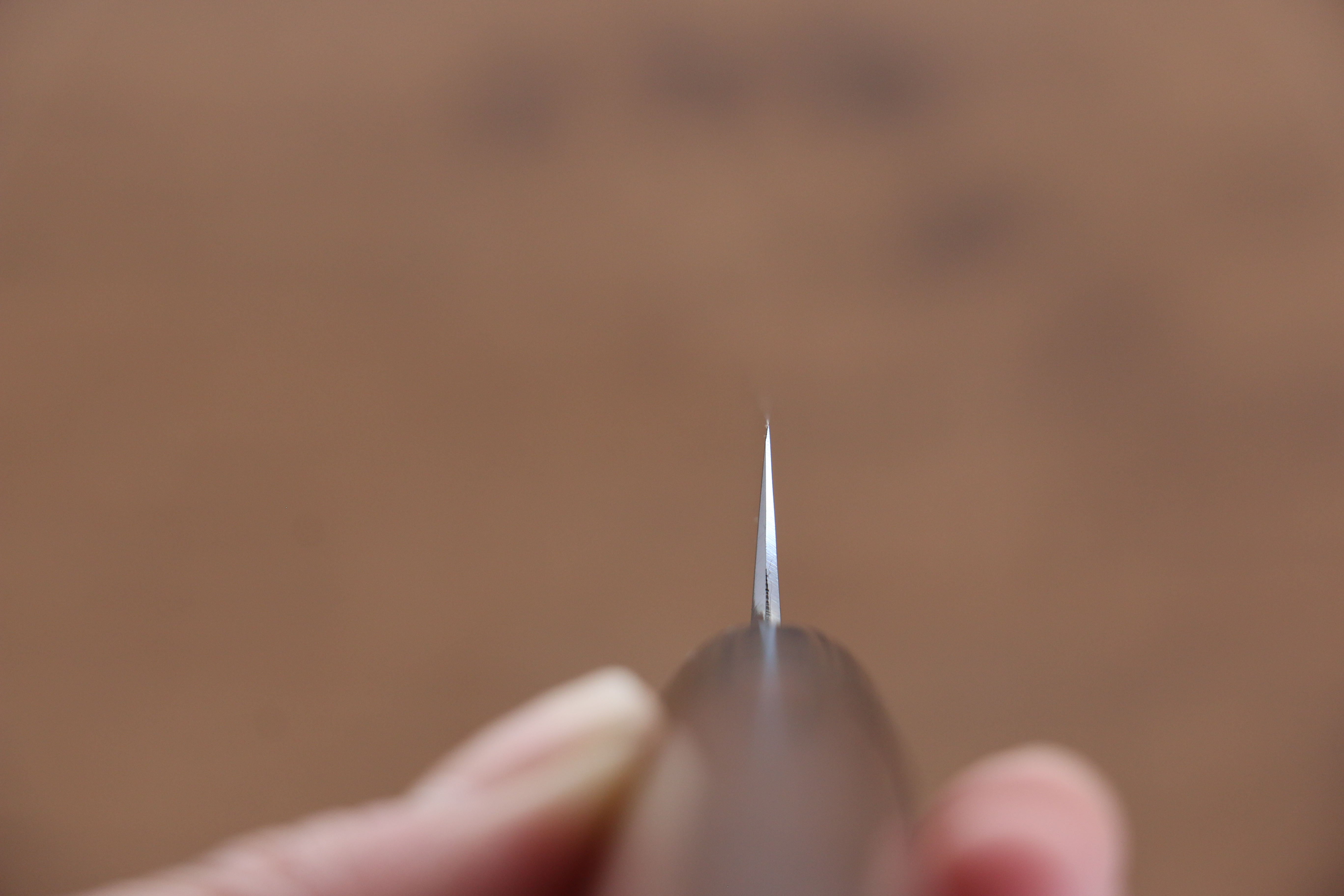 Jikko White Steel No.2 Sujihiki 270mm Shitan Handle - Japanny - Best Japanese Knife