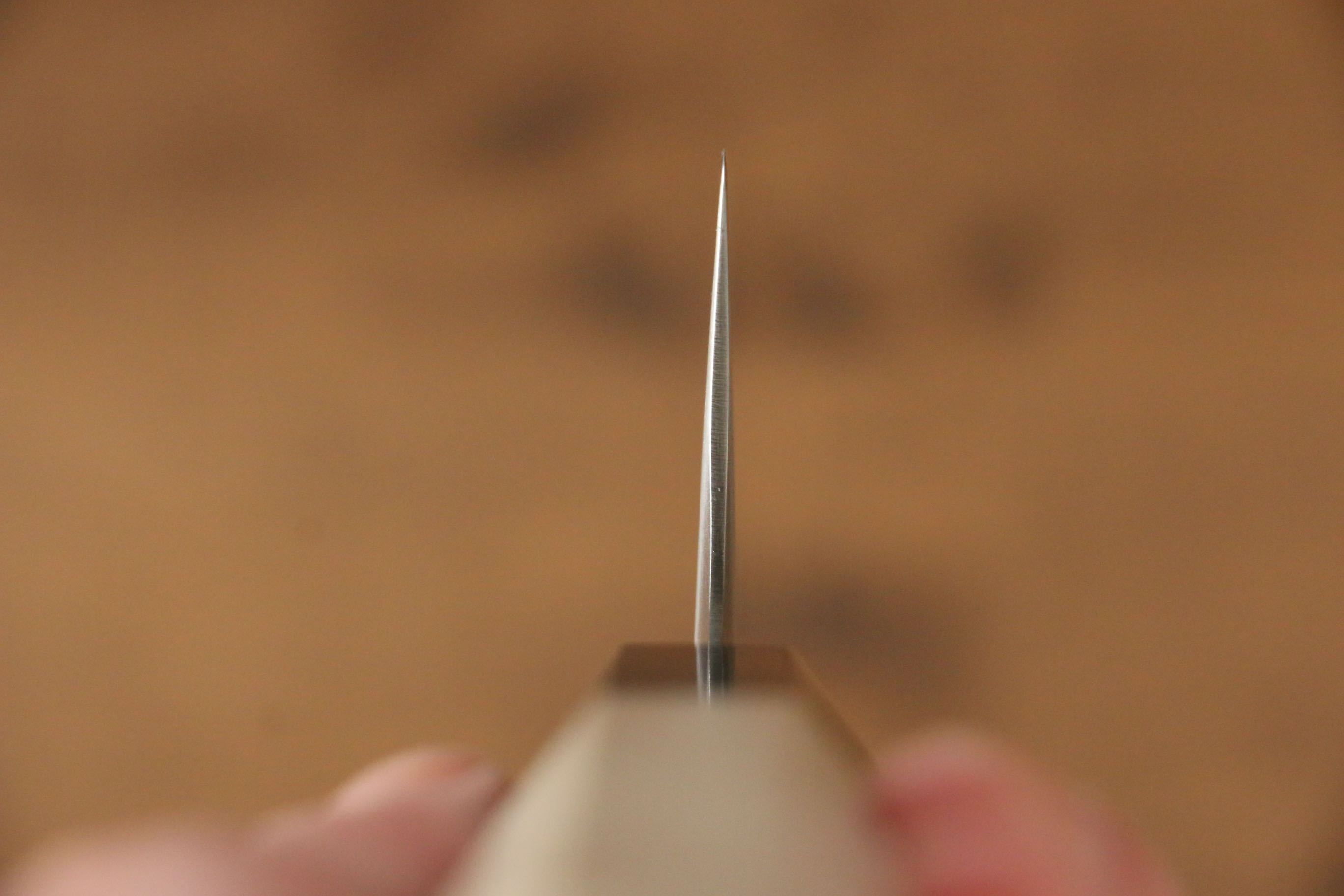 Jikko SG2 Gyuto 210mm Magnolia Handle - Japanny - Best Japanese Knife