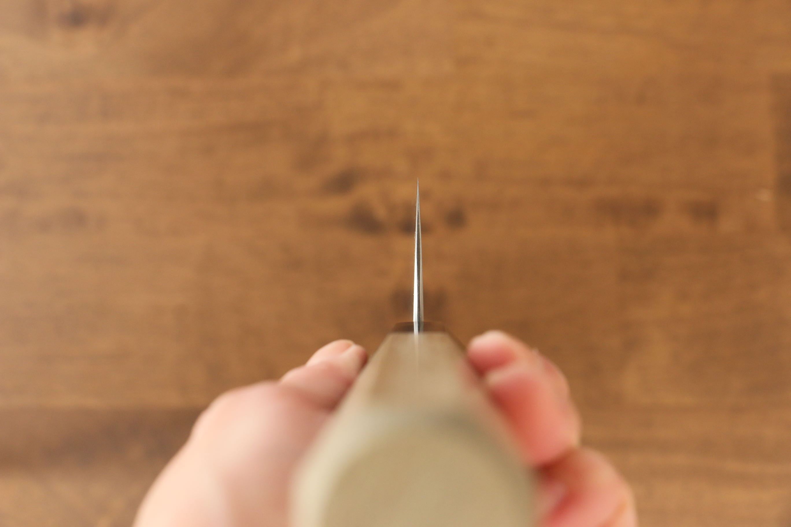 Jikko SG2 Gyuto 240mm Magnolia Handle - Japanny - Best Japanese Knife