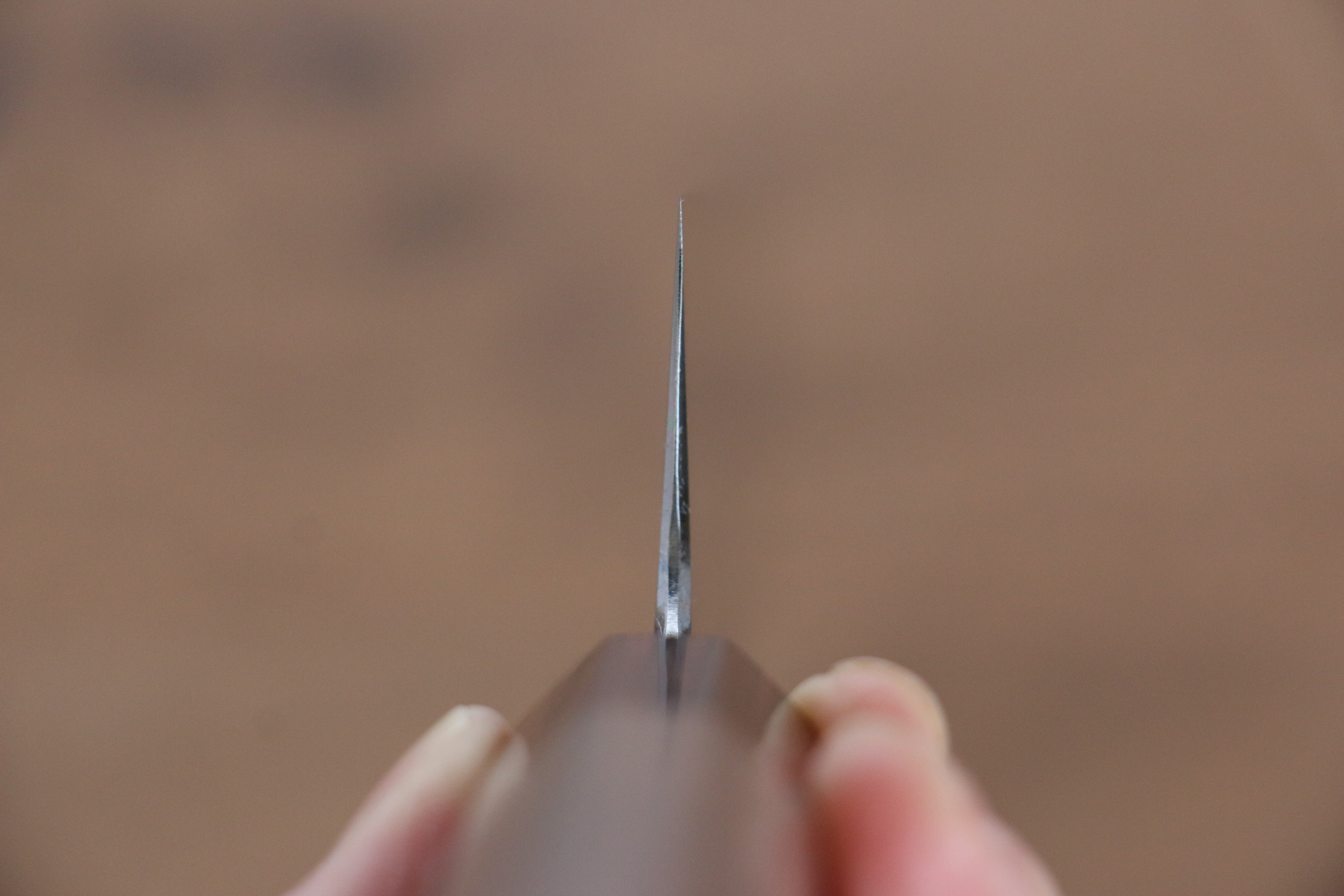 Naohito Myojin SG2 Gyuto 210mm Walnut Handle - Japanny - Best Japanese Knife