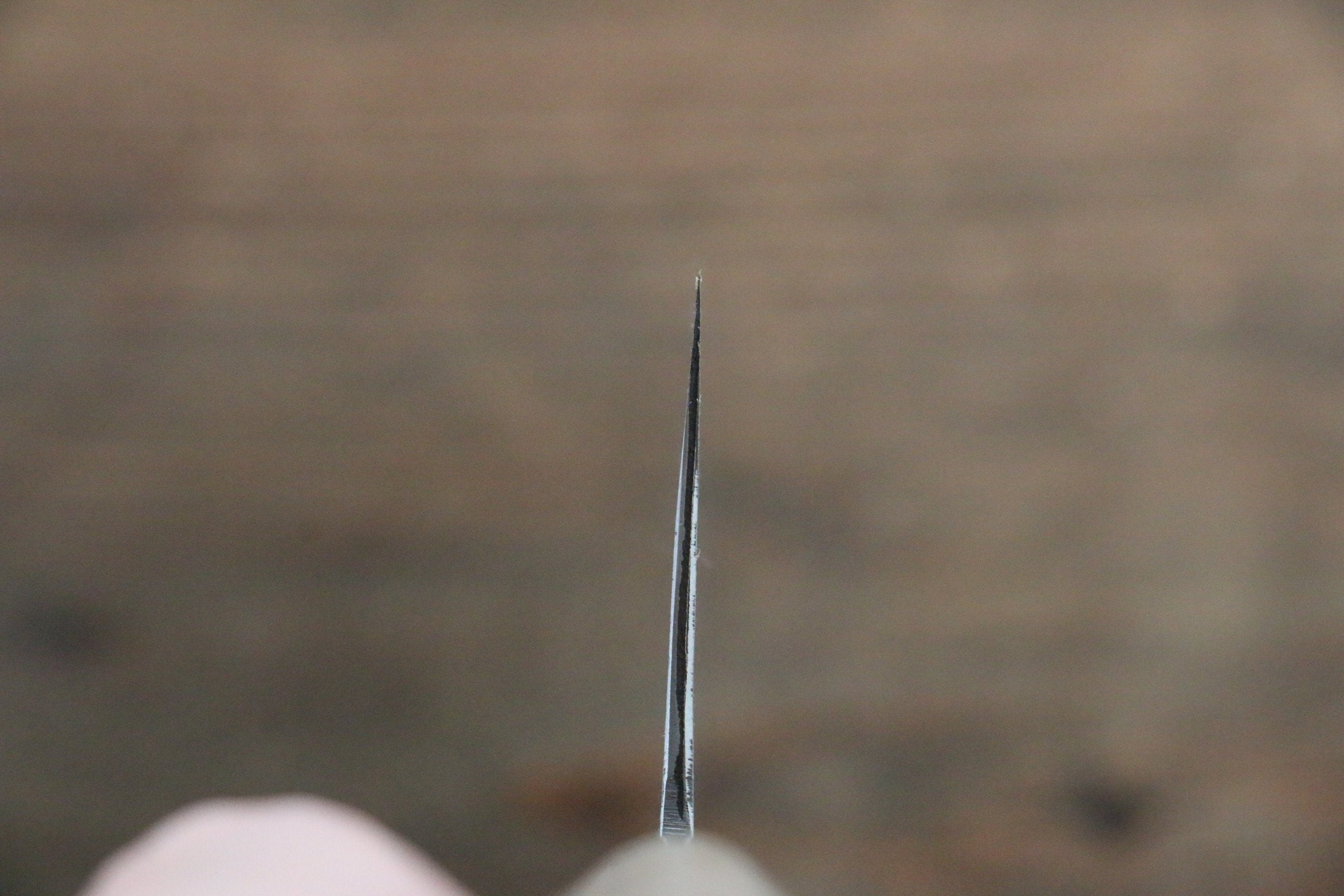 Fujiwara Teruyasu White Steel No.1 Nashiji Nakiri 165mm Magnolia Handle - Japanny - Best Japanese Knife