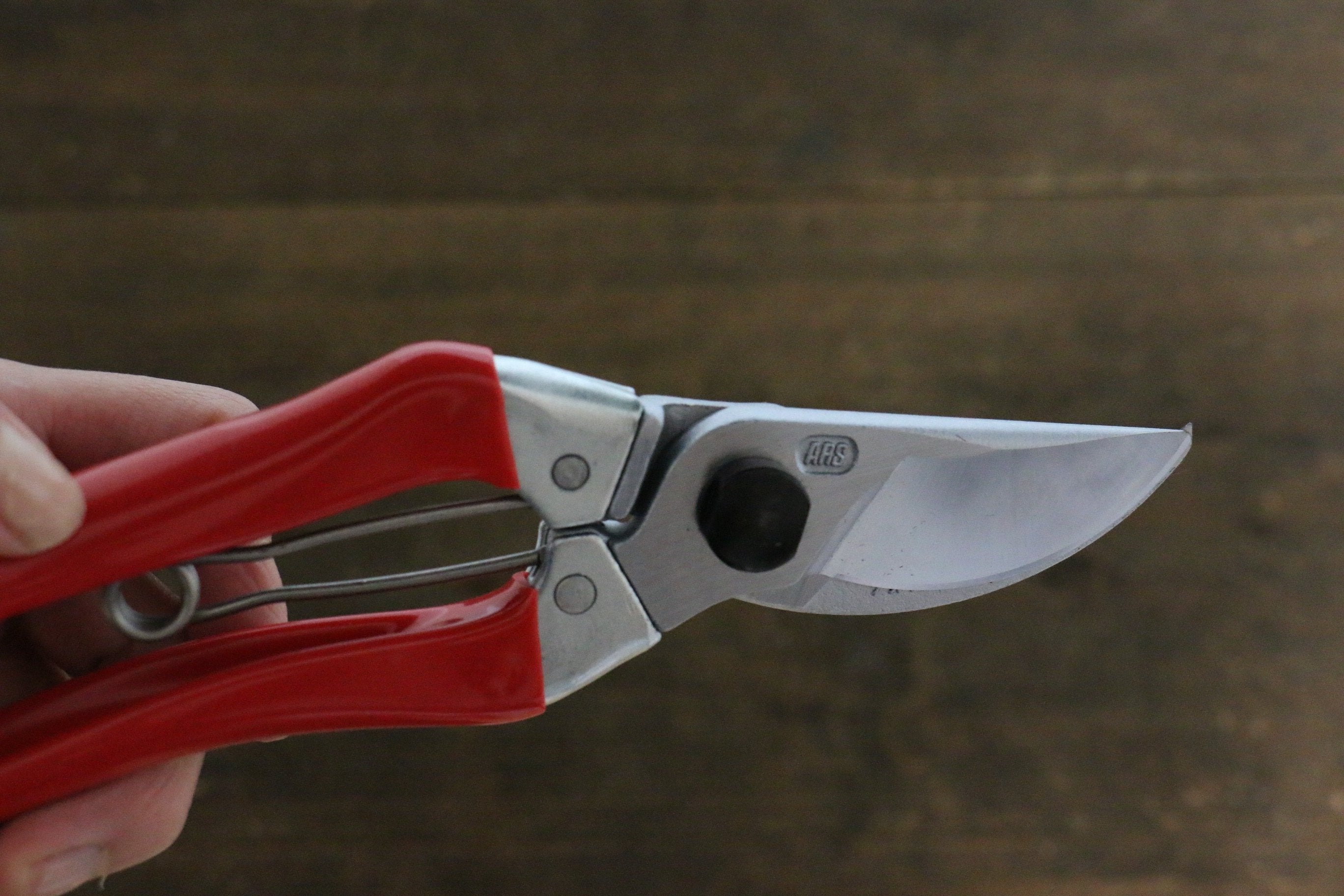 ARS Pruning Shears 120S-8 - Japanny - Best Japanese Knife