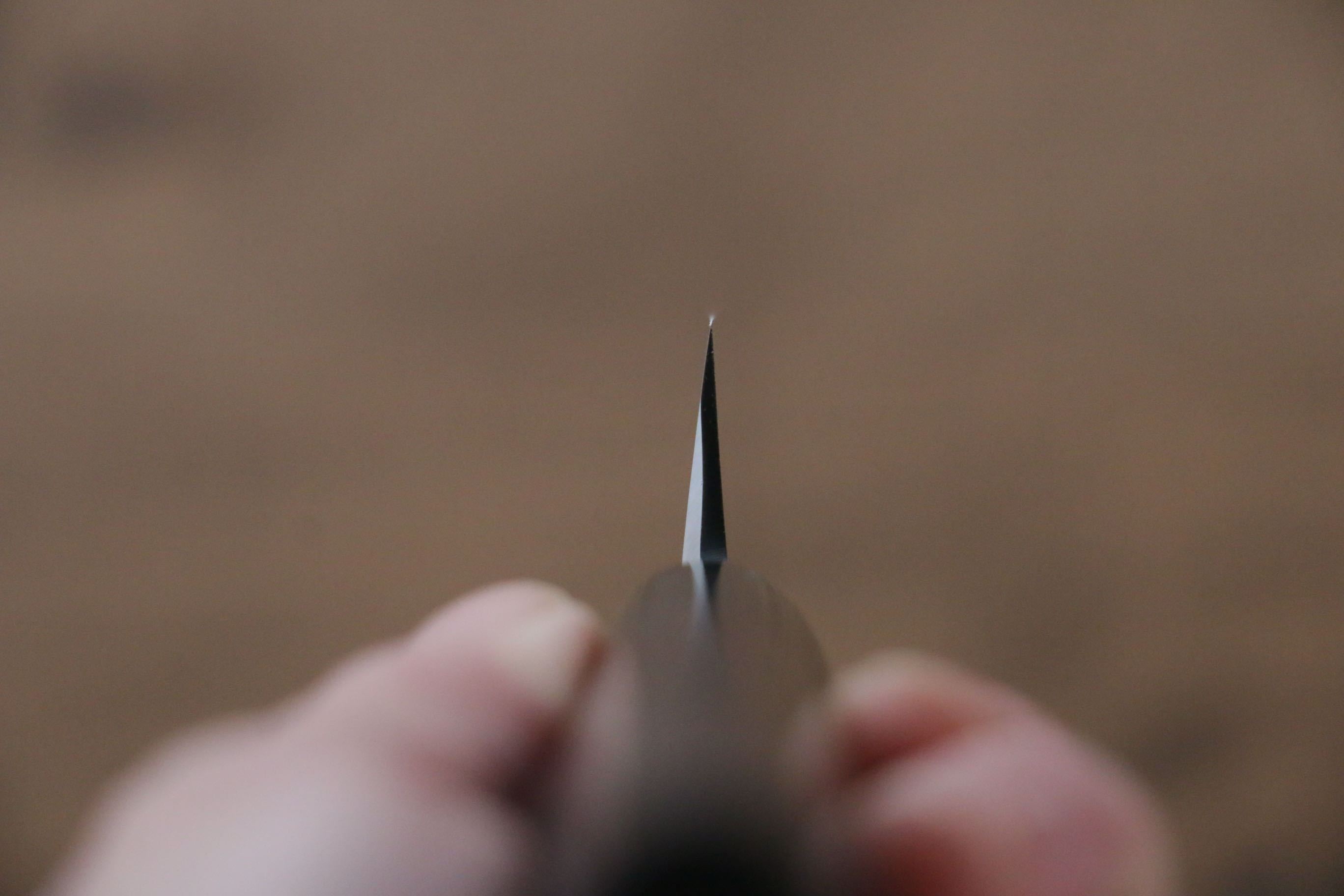 Jikko Silver Steel No.3 Sakimaru Yanagiba 240mm Shitan Handle - Japanny - Best Japanese Knife