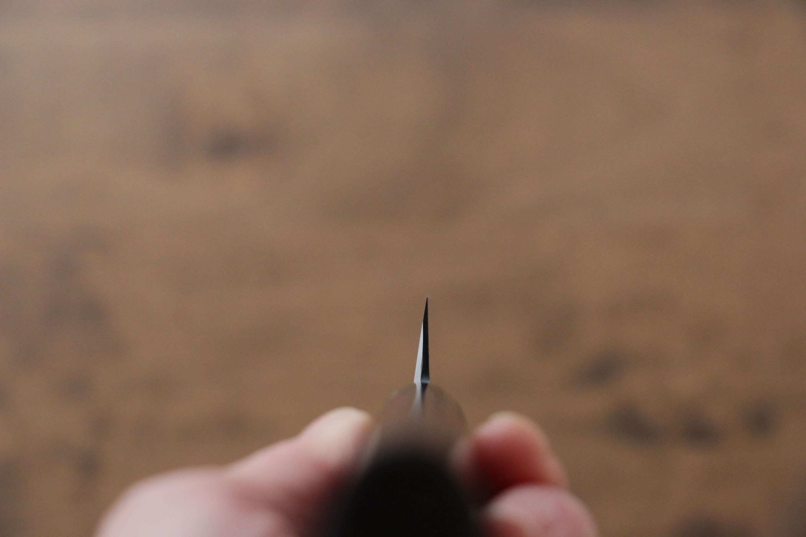 Jikko Silver Steel No.3 Sakimaru Yanagiba 210mm Shitan Handle - Japanny - Best Japanese Knife