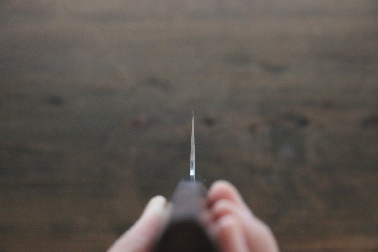 Sukenari SG2 3 Layer Kiritsuke Gyuto 210mm Shitan Handle - Japanny - Best Japanese Knife