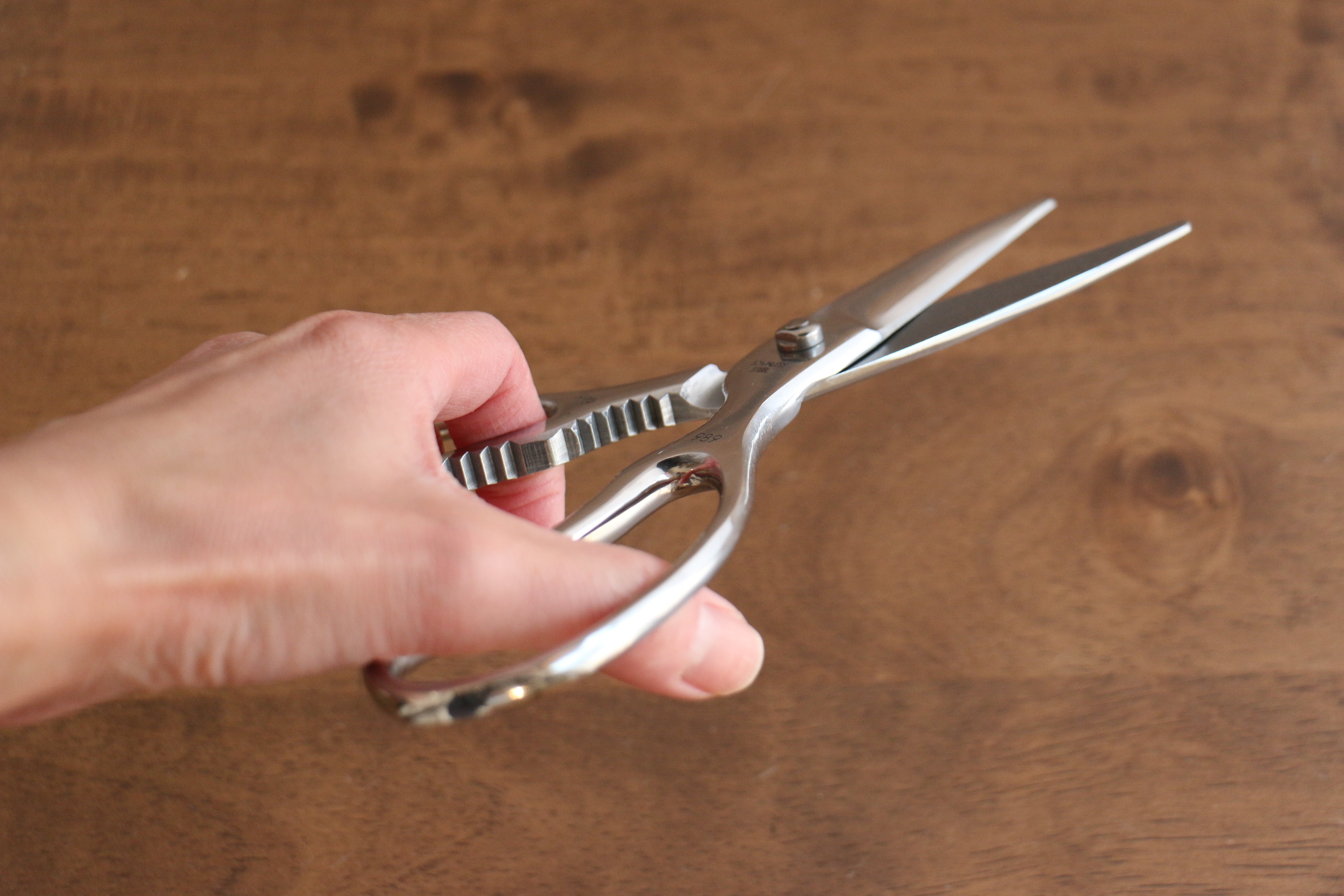 New Kokkusan Stainless Steel Kitchen Scissors - Japanny - Best Japanese Knife