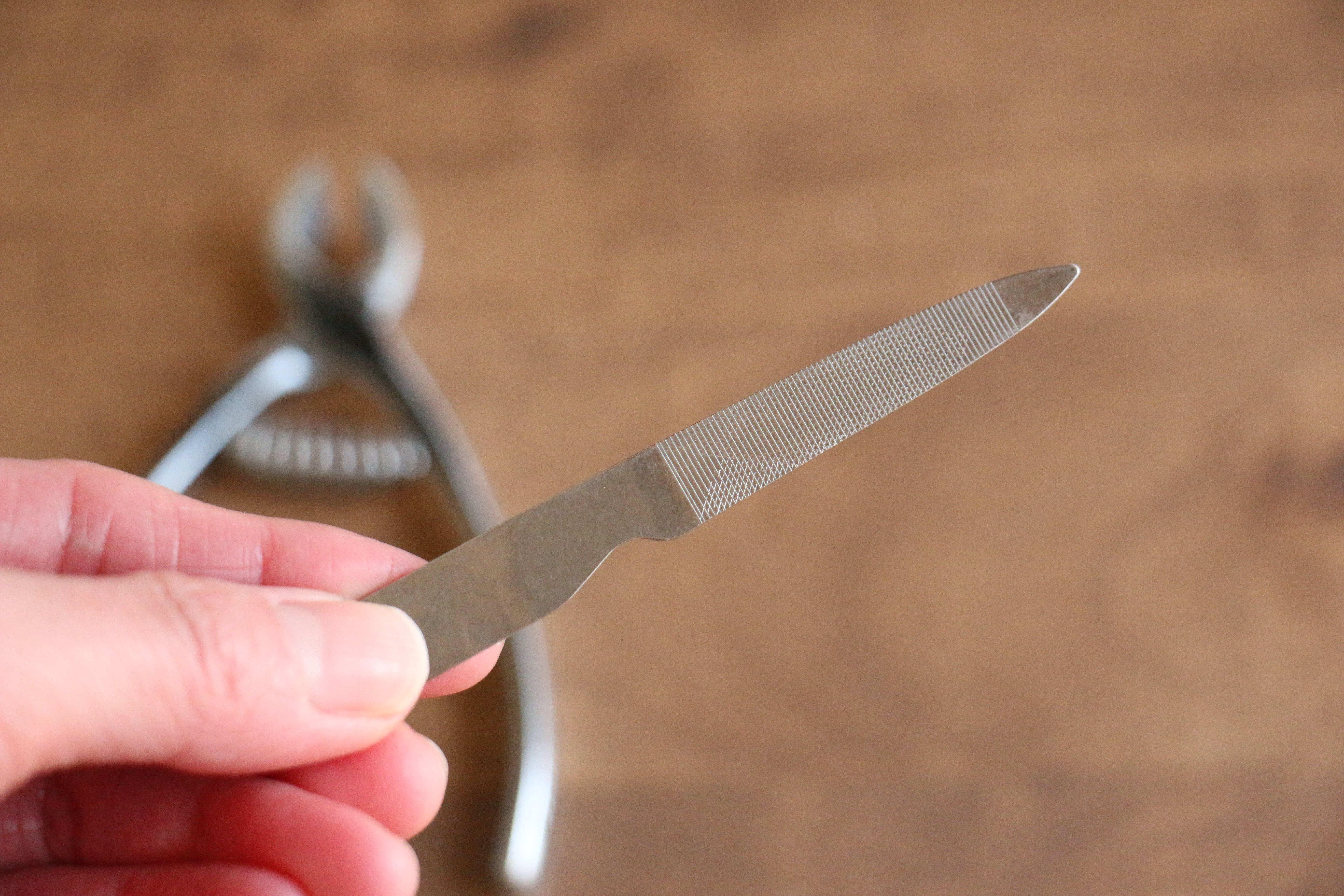 Clover mark High carbon steel Oblique blade Nail Clipper - Japanny - Best Japanese Knife