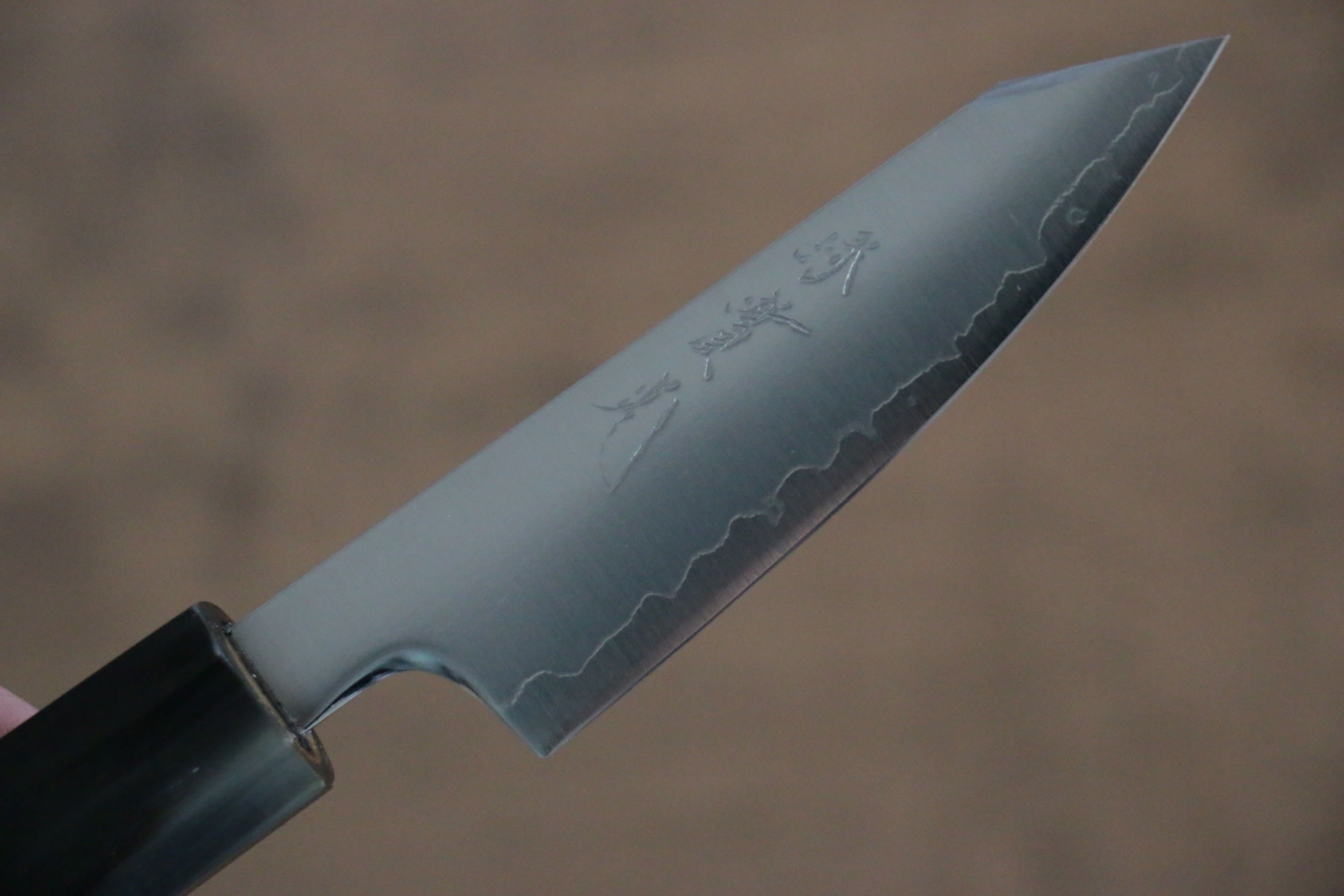 Jikko SG2 Kiritsuke Petty-Utility 70mm Magnolia Handle - Japanny - Best Japanese Knife