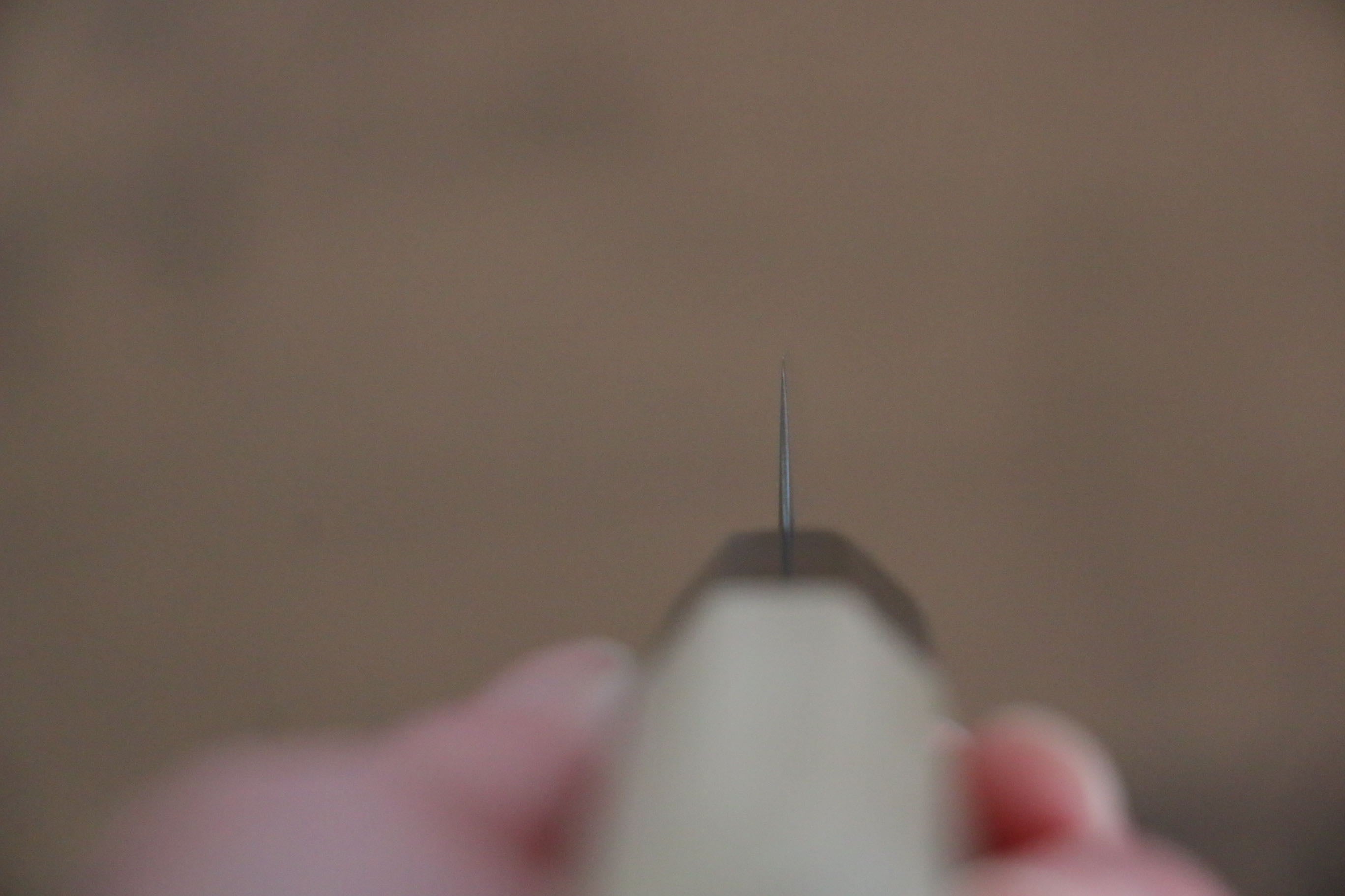 Jikko SG2 Kiritsuke Petty-Utility 70mm Magnolia Handle - Japanny - Best Japanese Knife