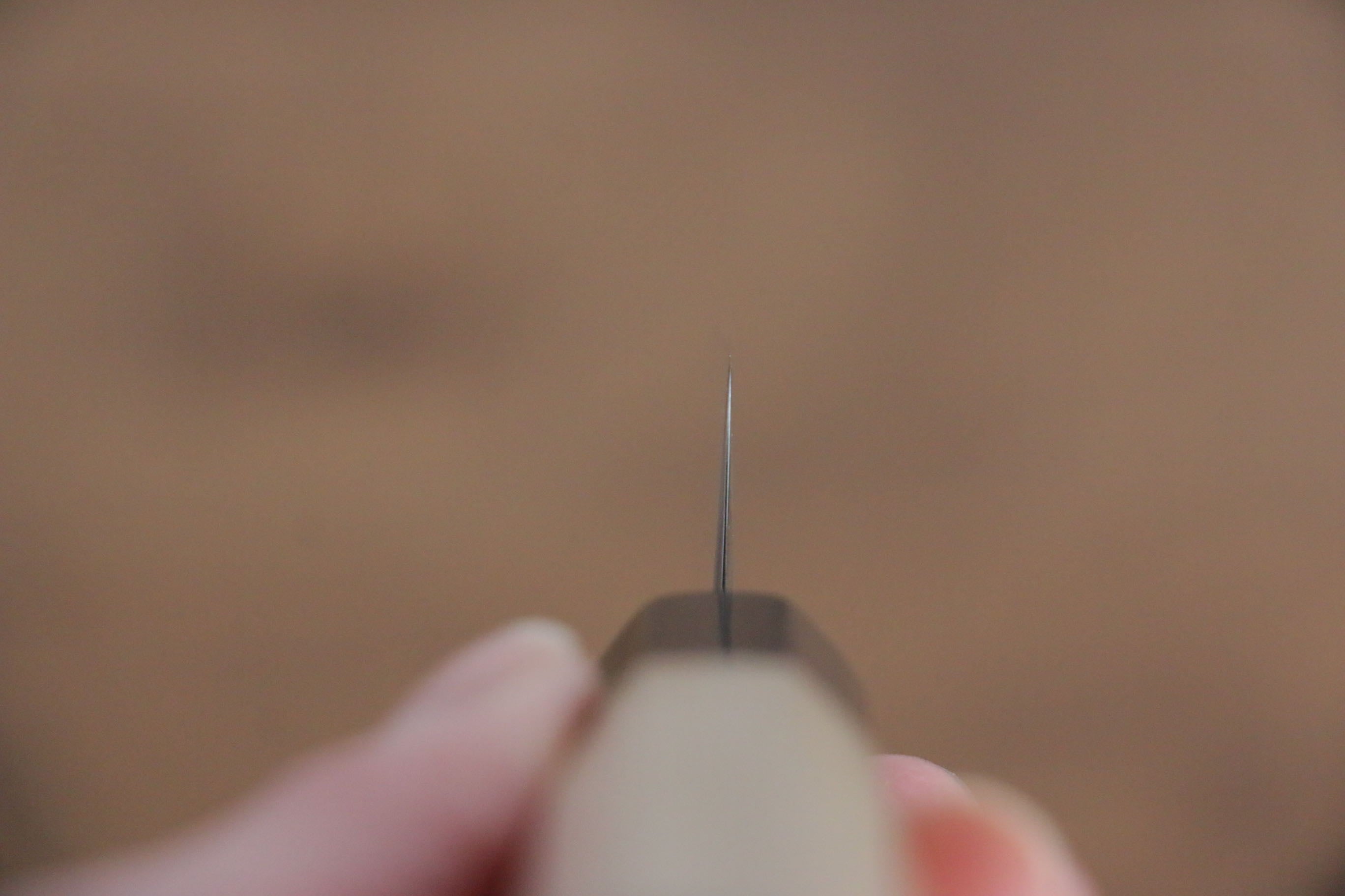 Jikko SG2 Kiritsuke Petty-Utility 125mm Magnolia Handle - Japanny - Best Japanese Knife