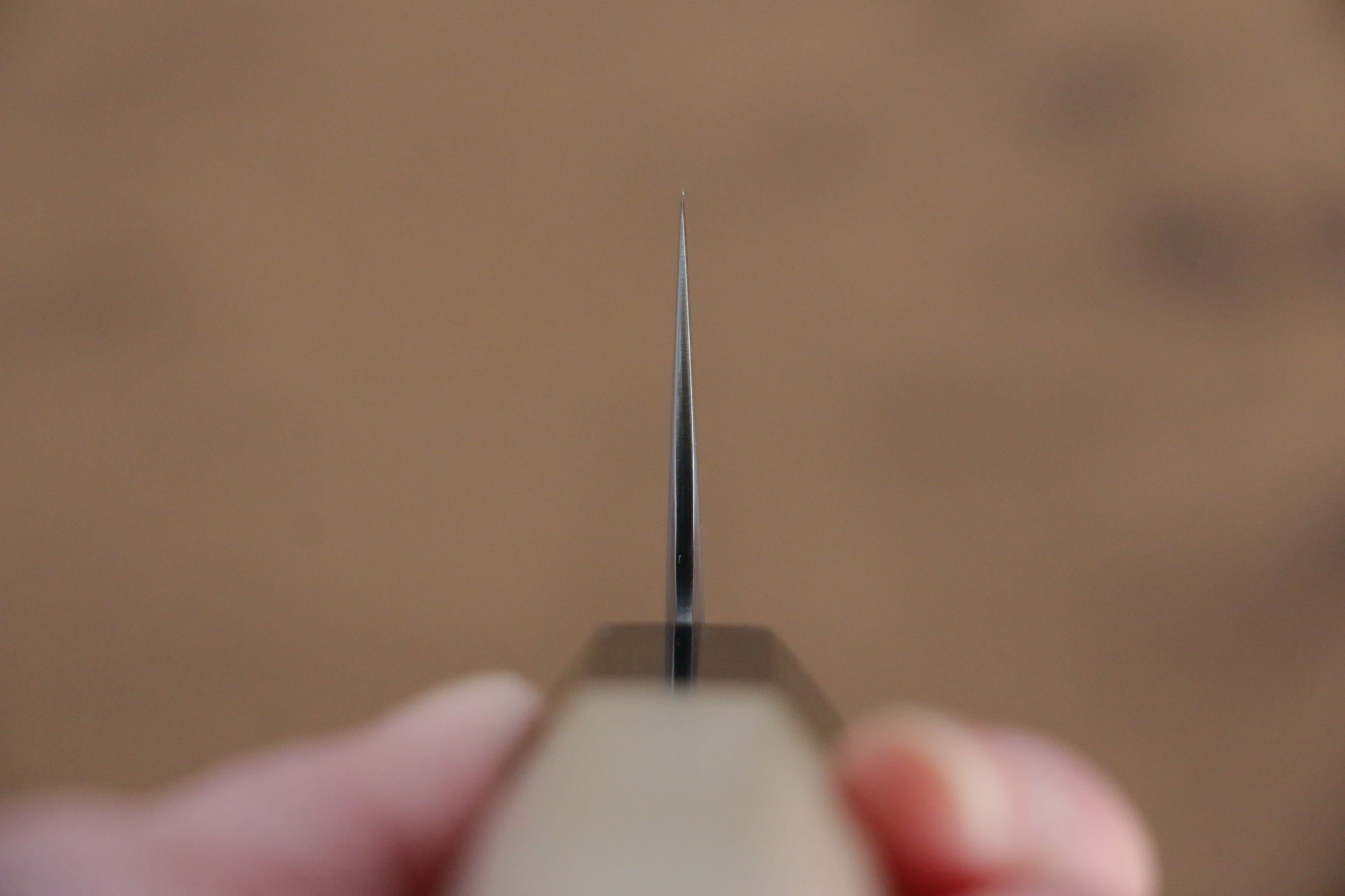 Jikko SG2 Kiritsuke Gyuto 170mm Magnolia Handle - Japanny - Best Japanese Knife