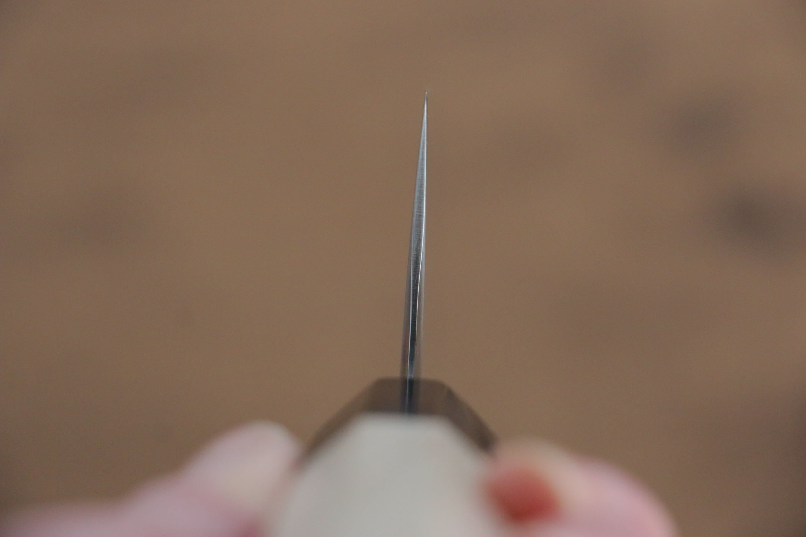 Jikko SG2 Kiritsuke Gyuto 200mm Magnolia Handle - Japanny - Best Japanese Knife