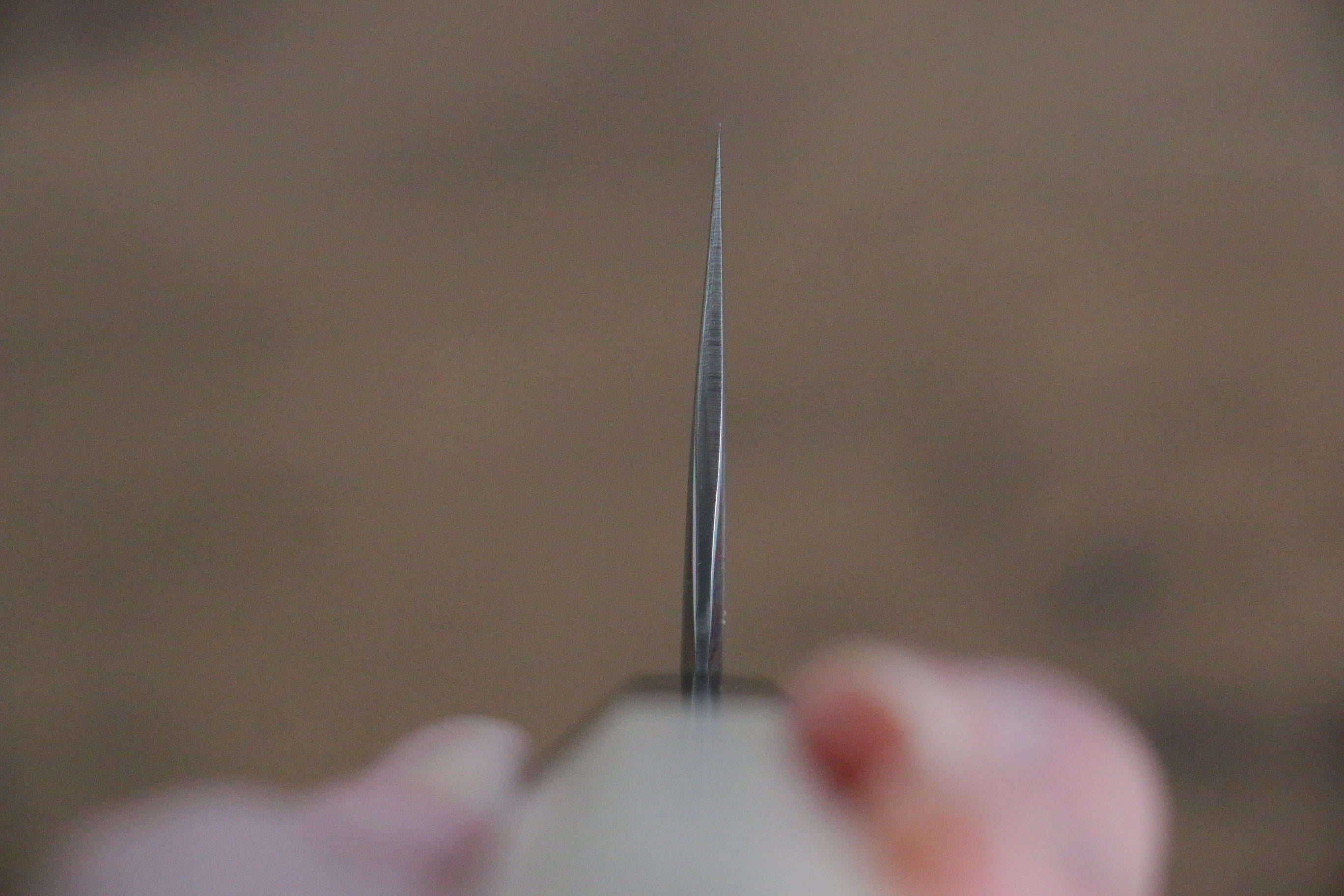 Jikko SG2 Kiritsuke Nakiri 155mm Magnolia Handle - Japanny - Best Japanese Knife