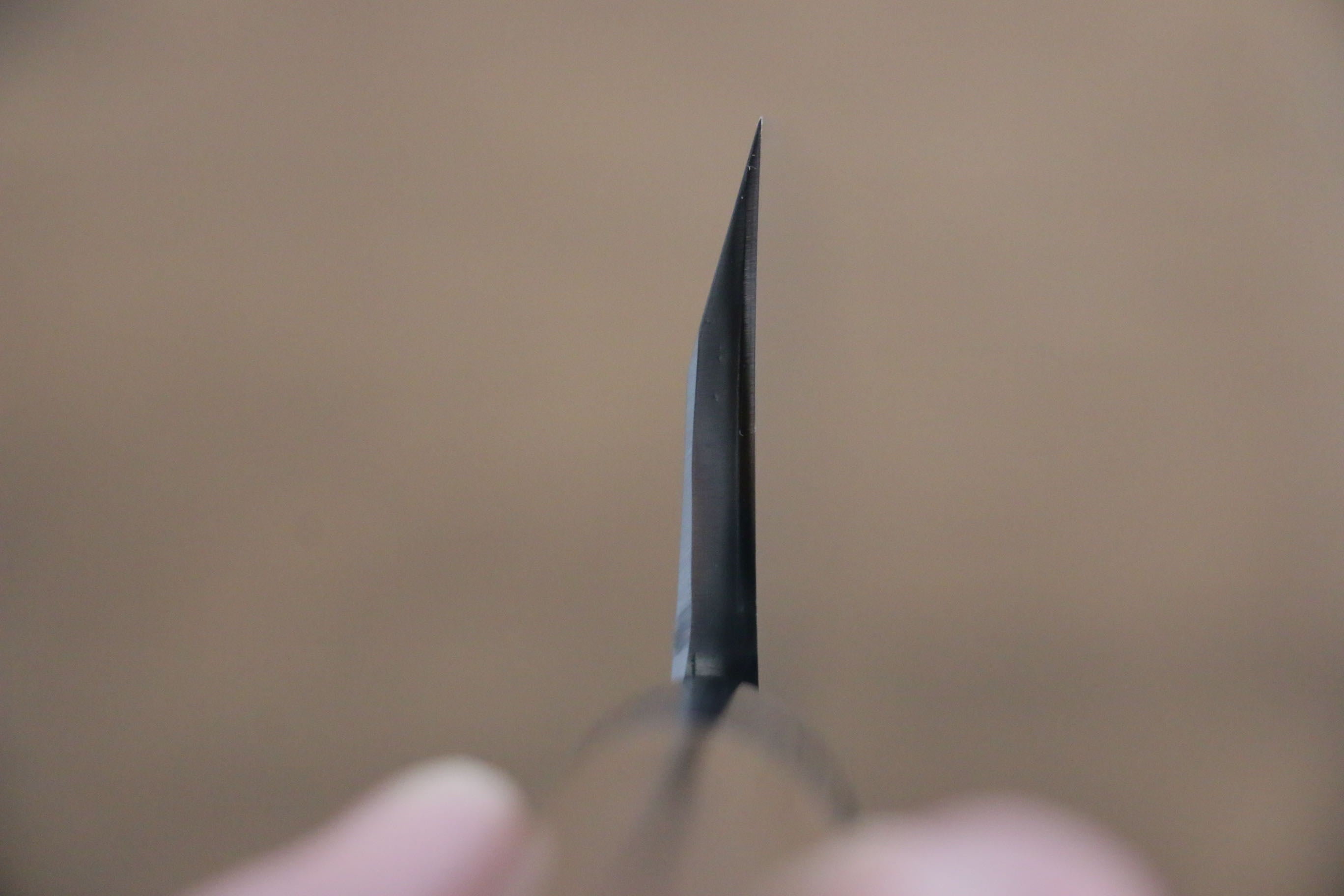 Jikko White Steel No.2 Deba 180mm Shitan Handle - Japanny - Best Japanese Knife