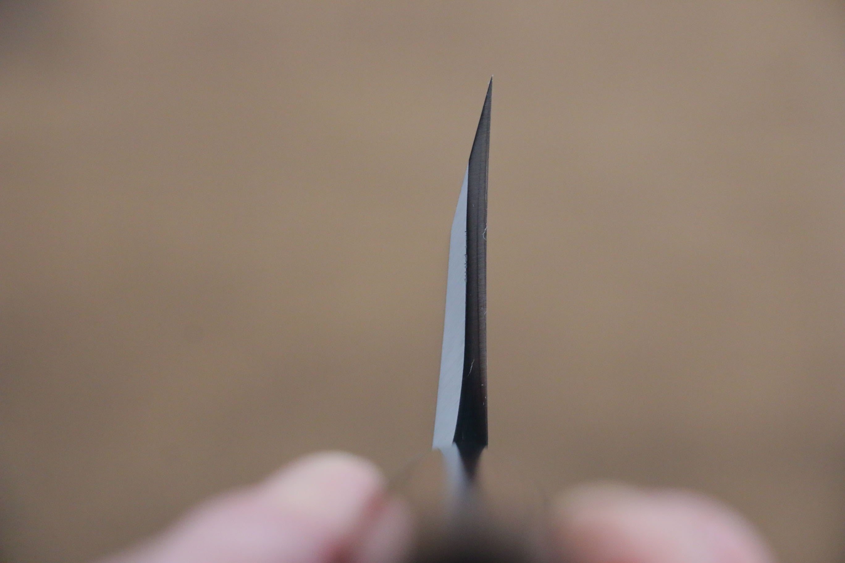 Jikko White Steel No.2 Deba 195mm Shitan Handle - Japanny - Best Japanese Knife