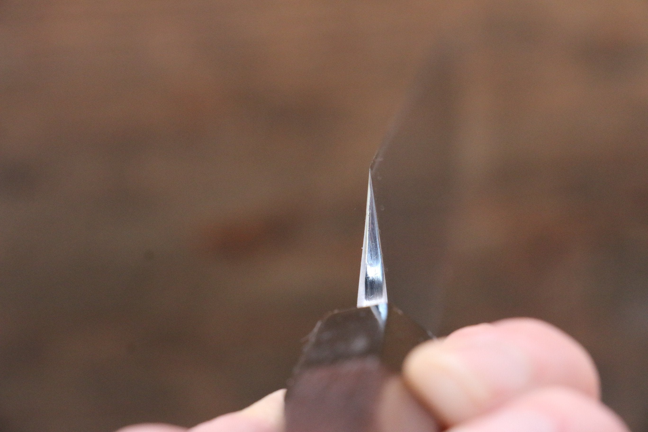 Sukenari SG2 2 Layer Yanagiba 300mm Shitan Handle - Japanny - Best Japanese Knife