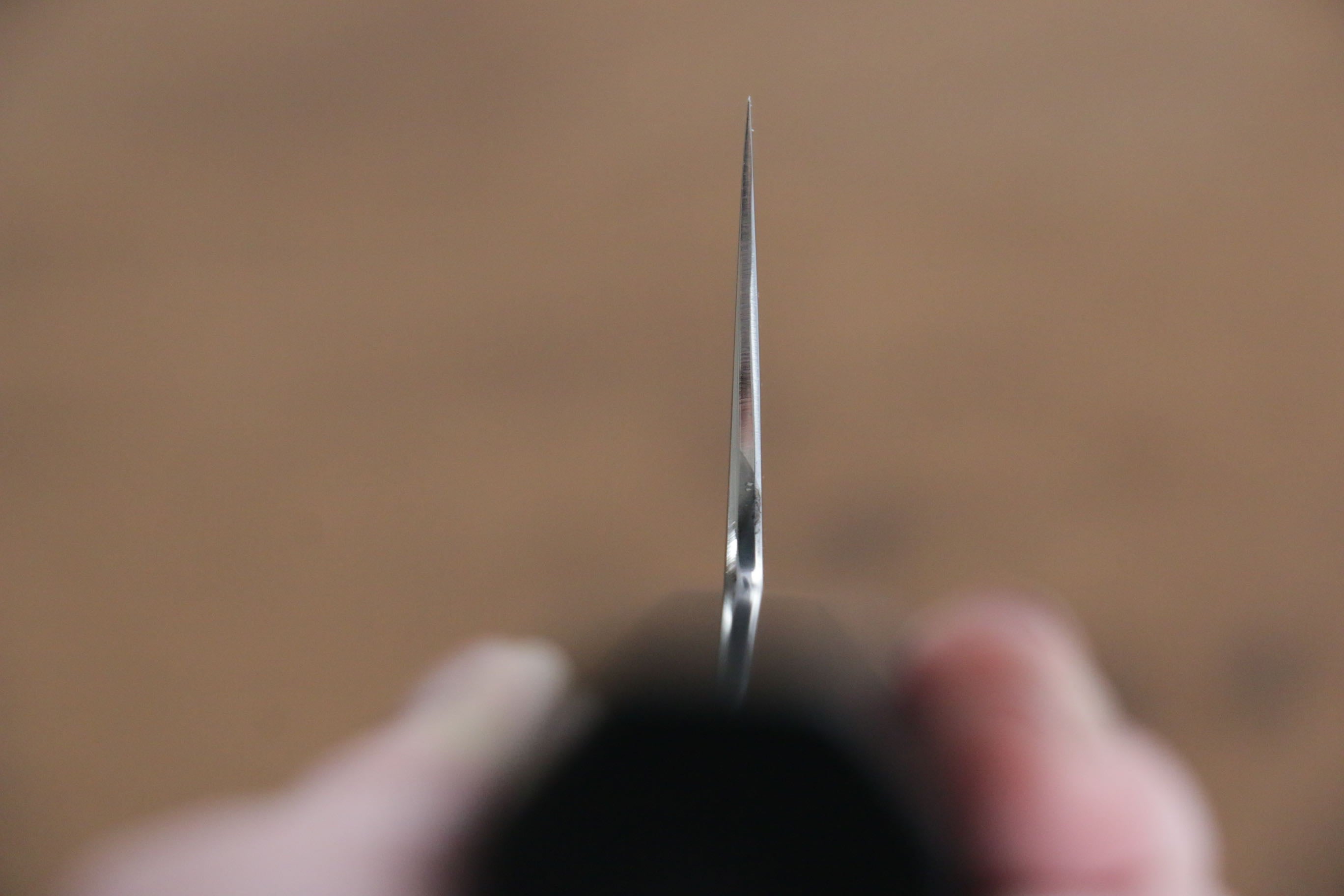 Jikko Fujisan Honyaki White Steel No.3 Gyuto 240mm Ebony Wood Handle Kasumi - Japanny - Best Japanese Knife