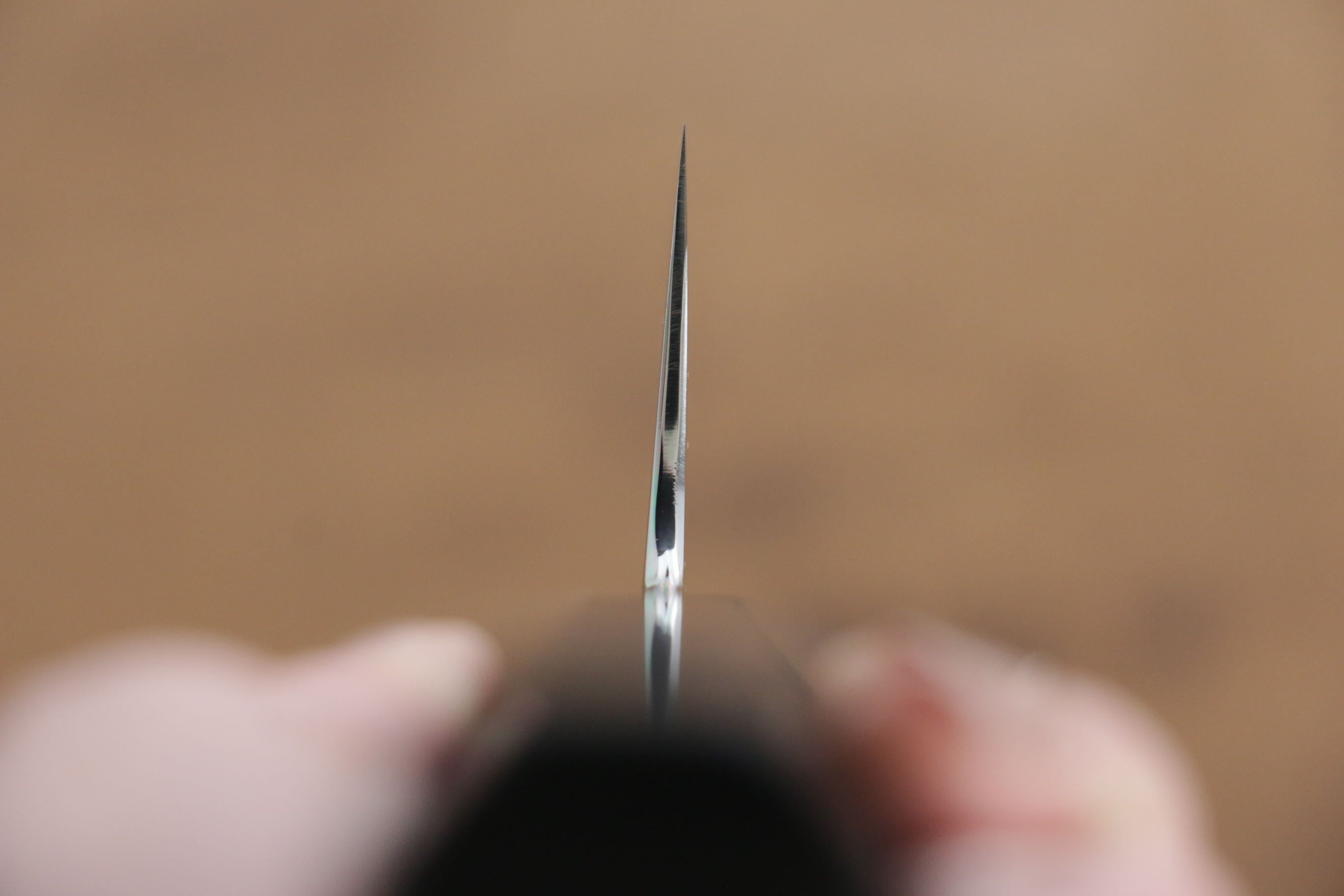 Jikko Honyaki White Steel No.3 Mirrored Finish Kiritsuke Gyuto 240mm Ebony Wood Handle - Japanny - Best Japanese Knife