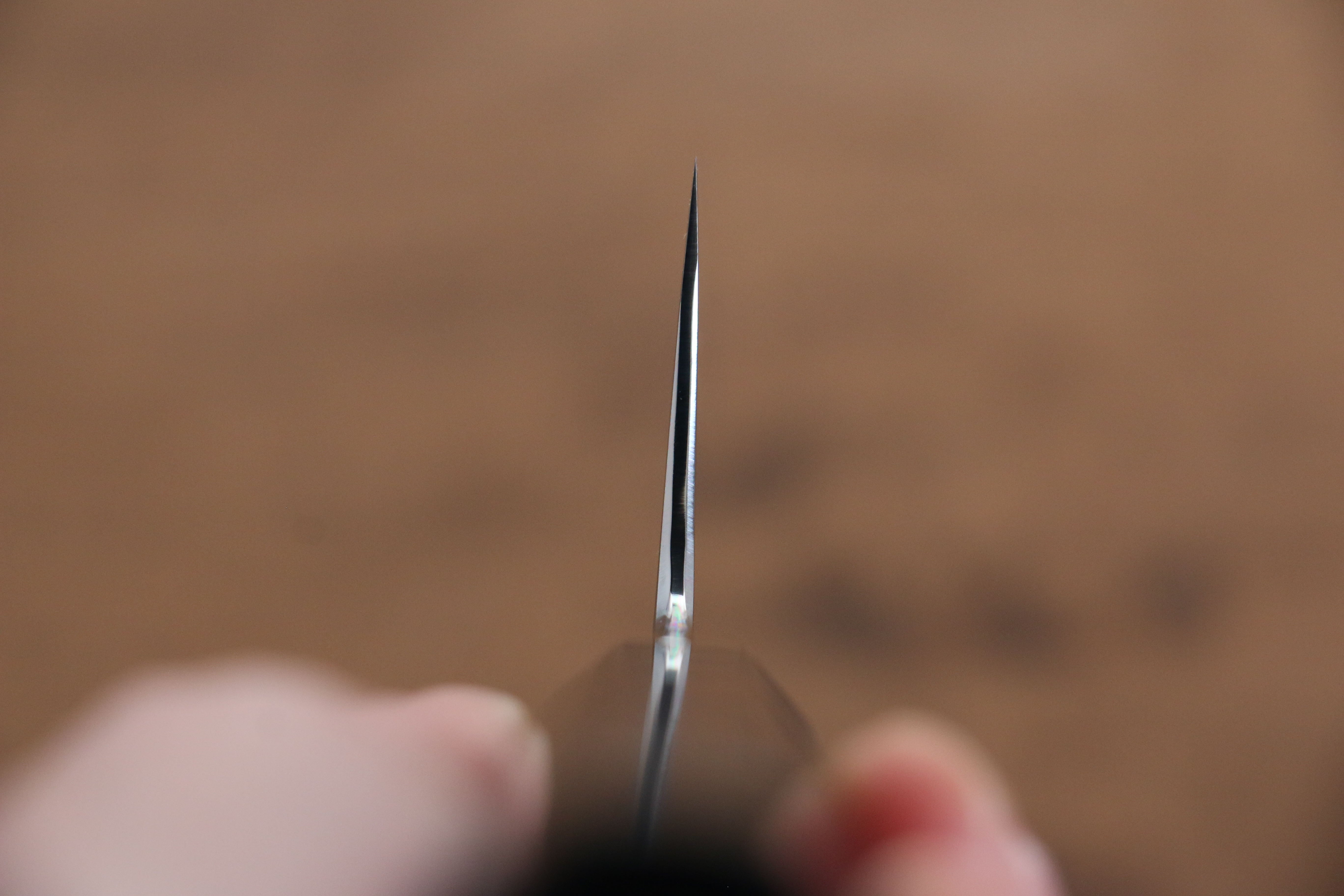 Jikko Honyaki White Steel No.3 Mirrored Finish Gyuto 210mm Ebony Wood Handle - Japanny - Best Japanese Knife