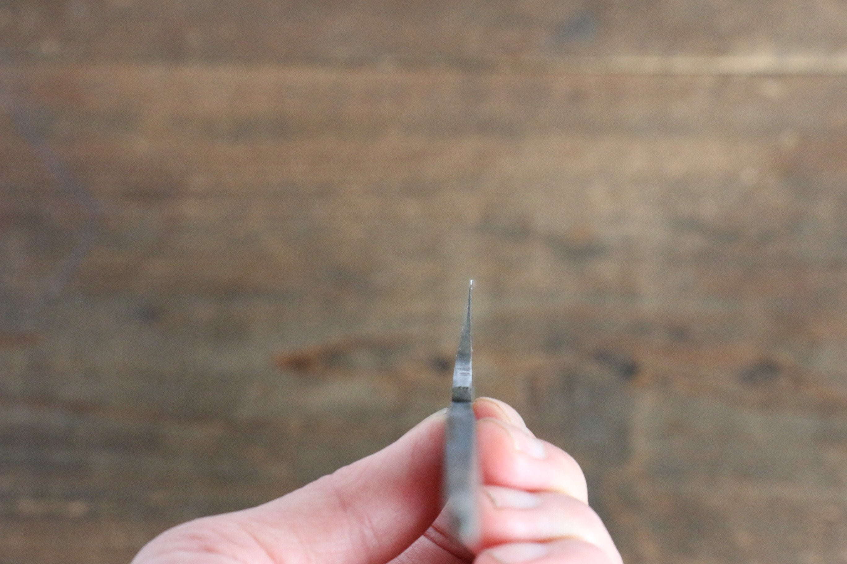 Minamoto Akitada Blue Steel No.1 DX Yanagiba 240mm (Blade only) - Japanny - Best Japanese Knife