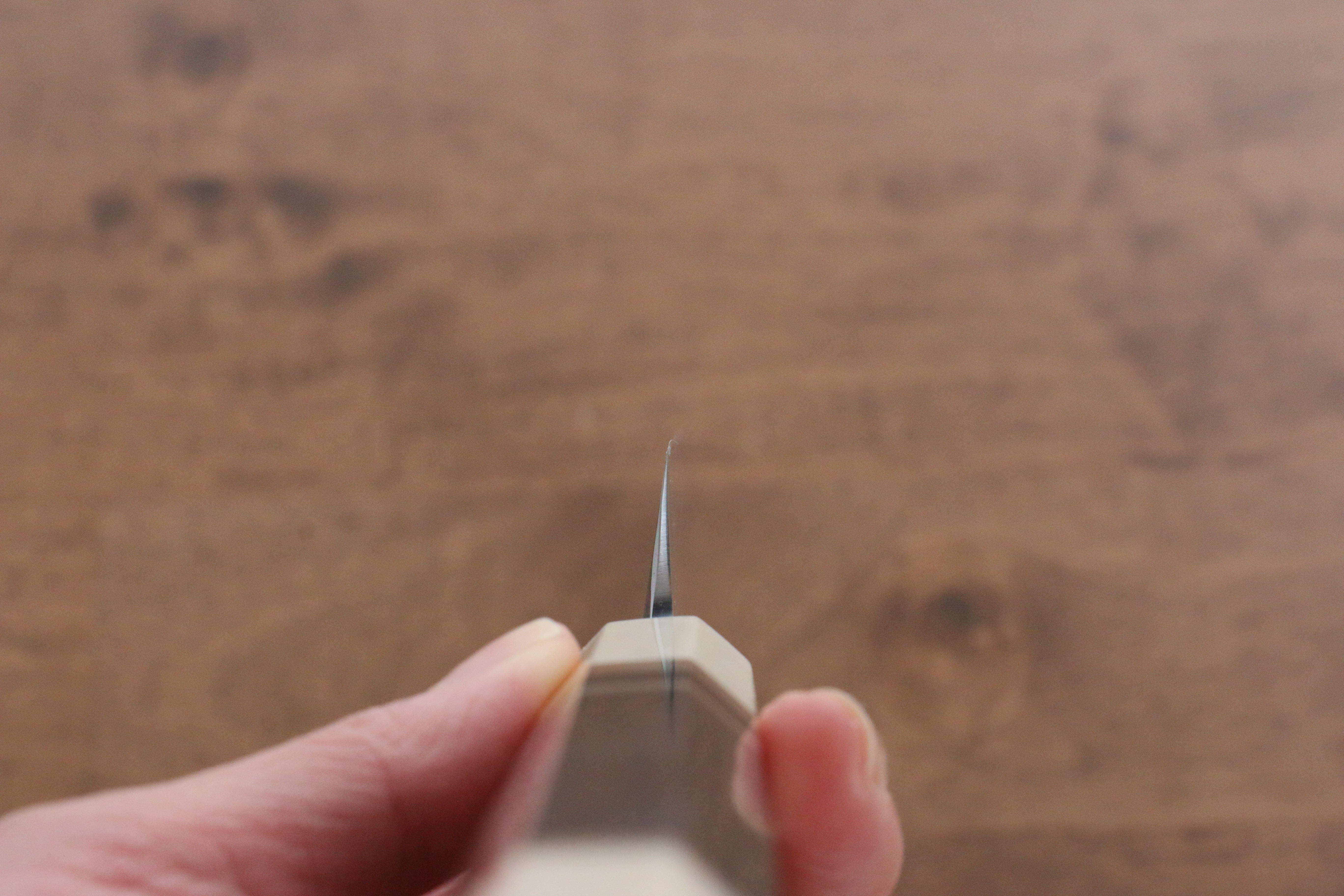 Jikko Shiko Blue Steel Sakimaru Yanagiba 270mm Ebony with Double Ring Handle - Japanny - Best Japanese Knife