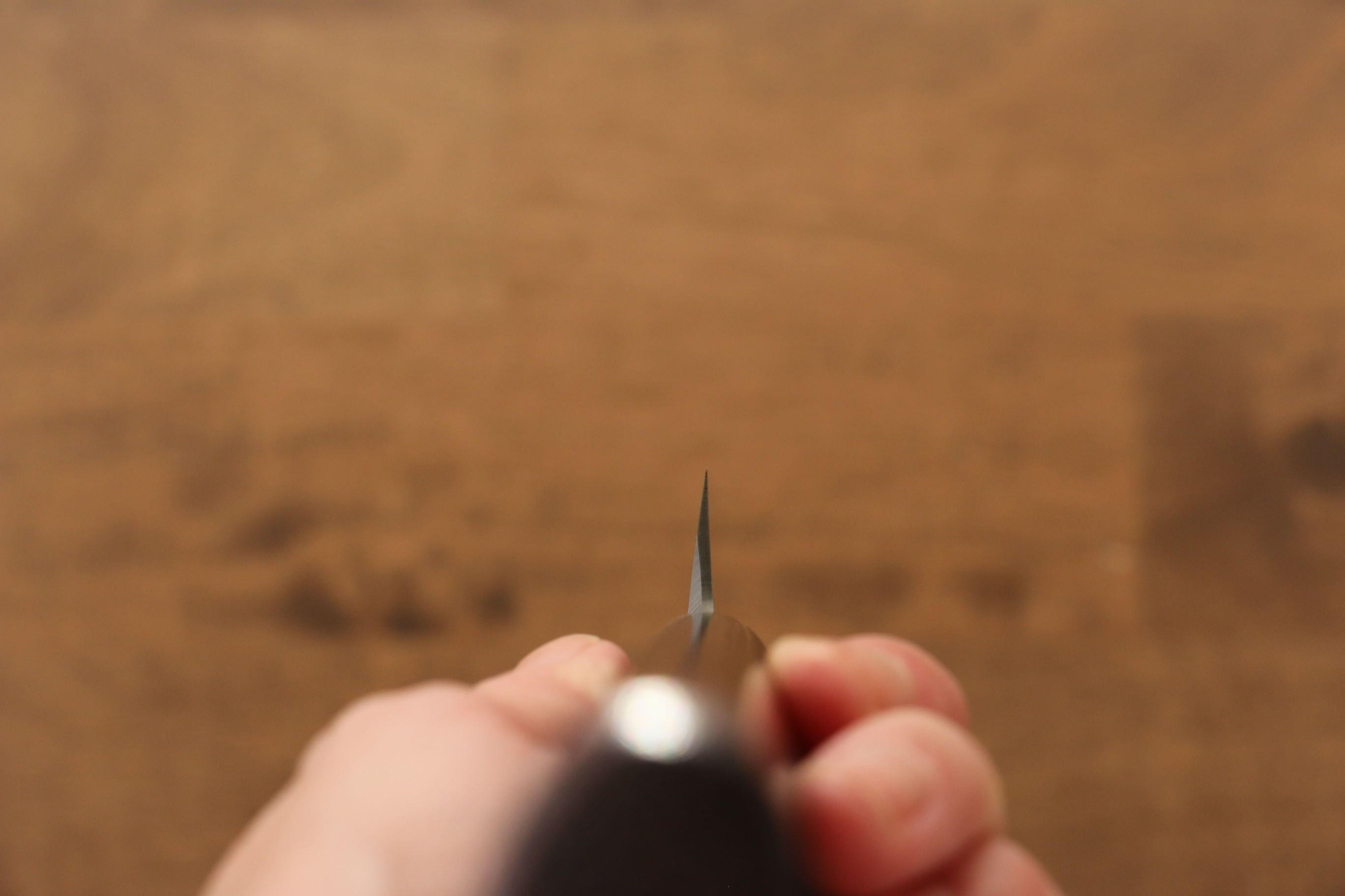 Jikko Silver Steel No.3 Yanagiba 240mm Shitan Handle - Japanny - Best Japanese Knife