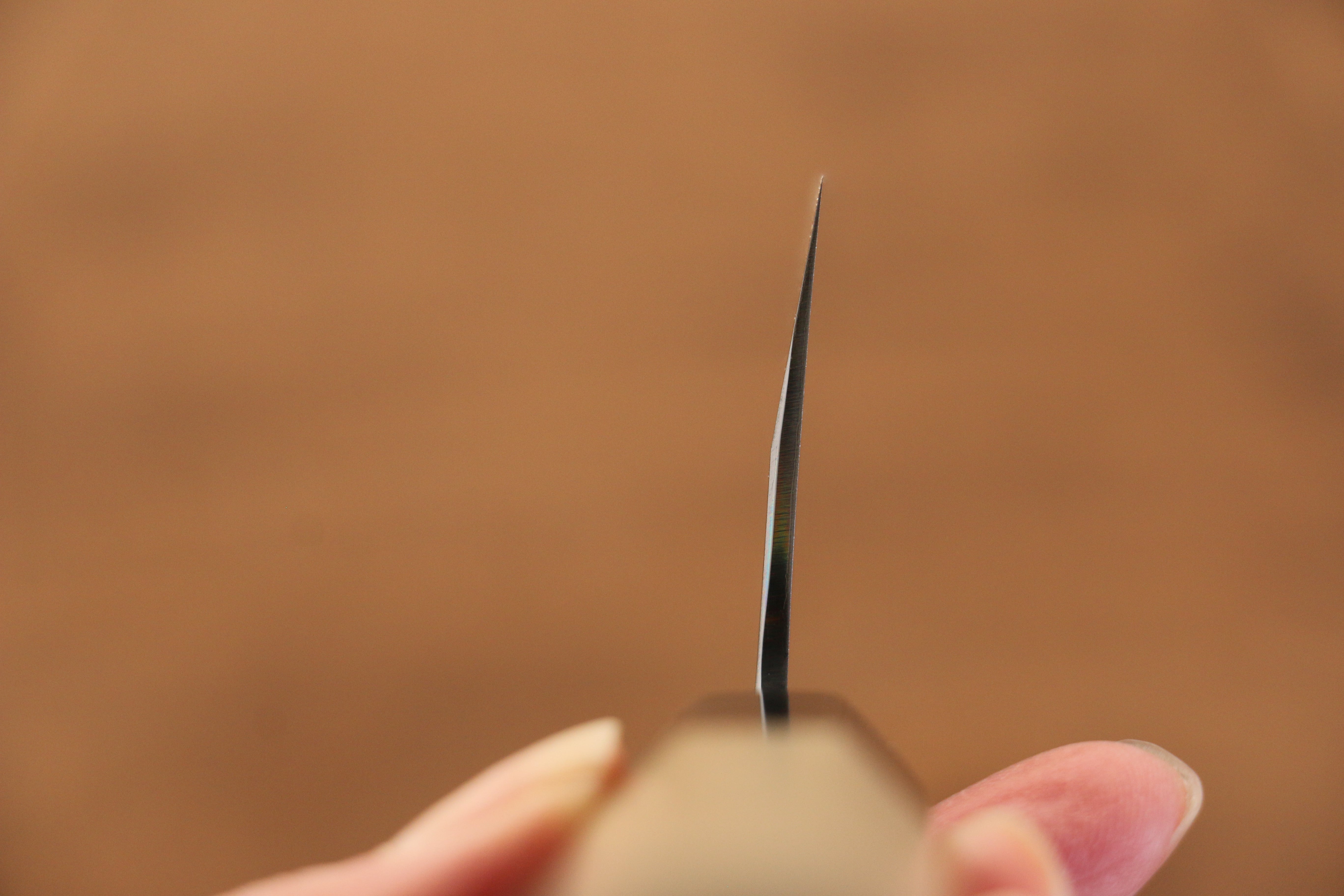 Jikko Arata White Steel No.2 Santoku 180mm Magnolia Handle - Japanny - Best Japanese Knife