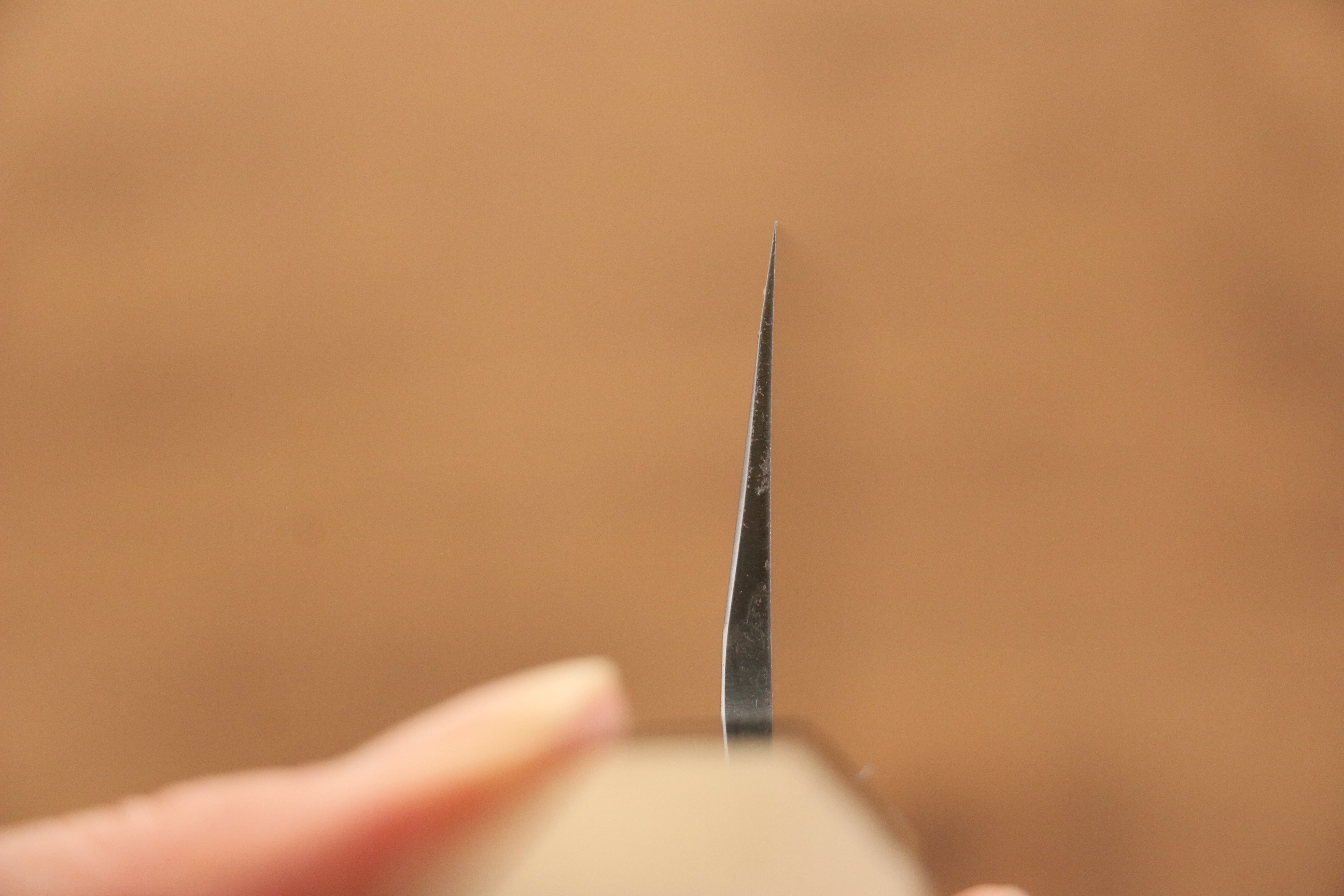 Jikko Arata White Steel No.2 Gyuto 240mm Magnolia Handle - Japanny - Best Japanese Knife