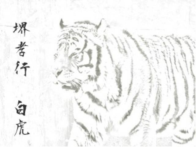 Sakai Takayuki Byakko White Steel No.1 Kiritsuke Yanagiba 270mm Ebony Wood Handle with Sheath - Japanny - Best Japanese Knife