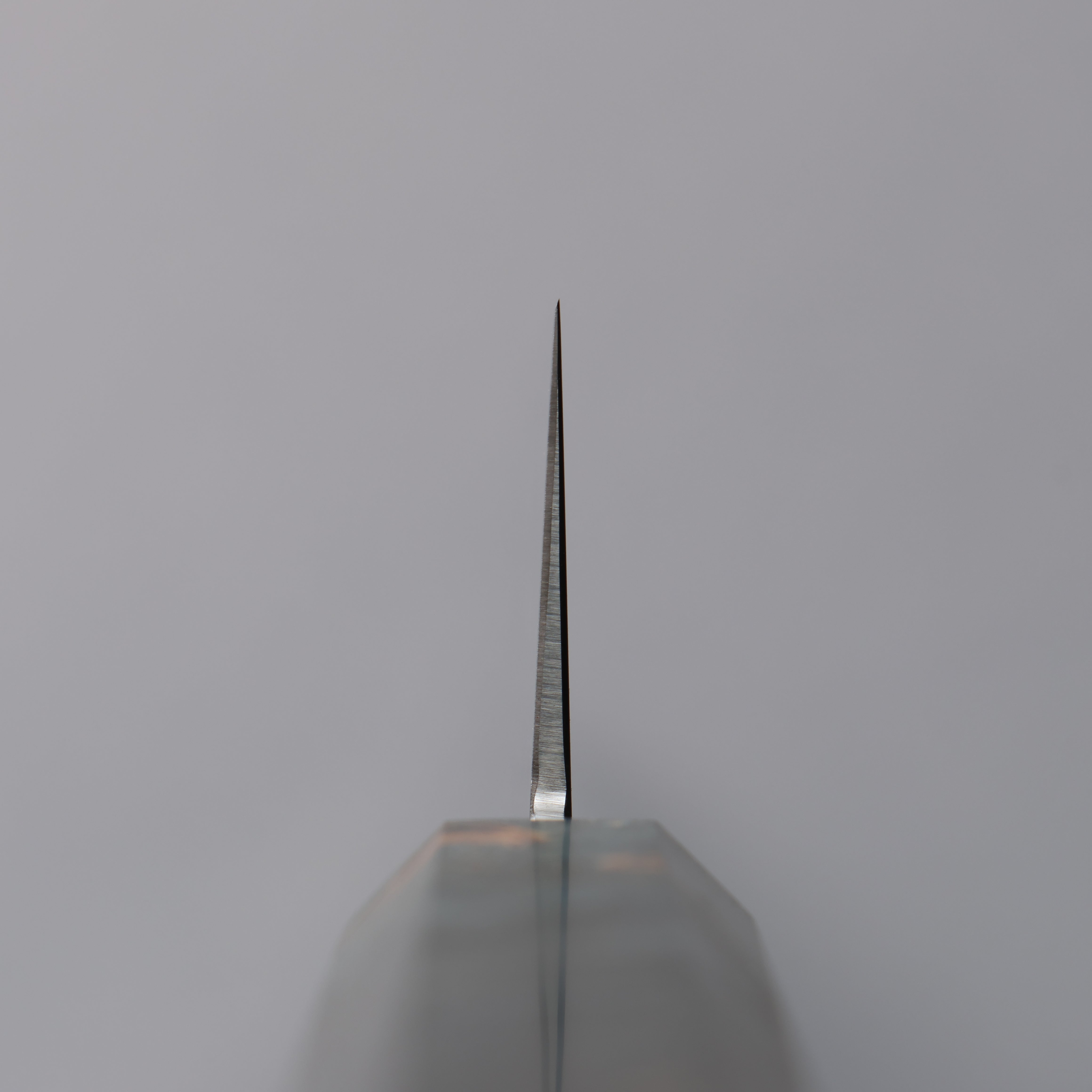 Seisuke VG10 Mirrored Finish Sujihiki  300mm Stabilized wood Handle - Japanny - Best Japanese Knife