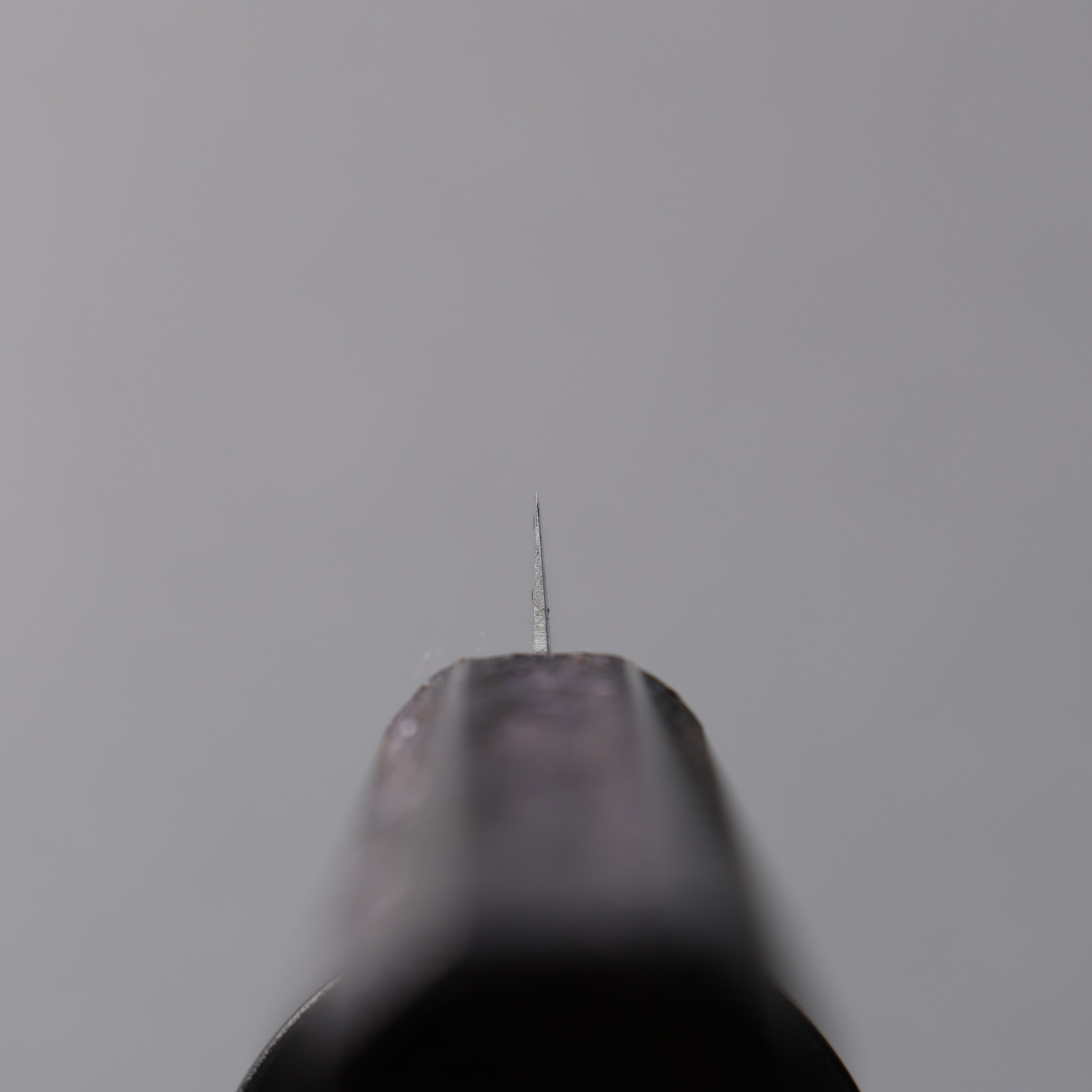 Seisuke White Steel No.1 Migaki Polish Finish Paring  80mm Oak with Purple Lacquer Handle - Japanny - Best Japanese Knife