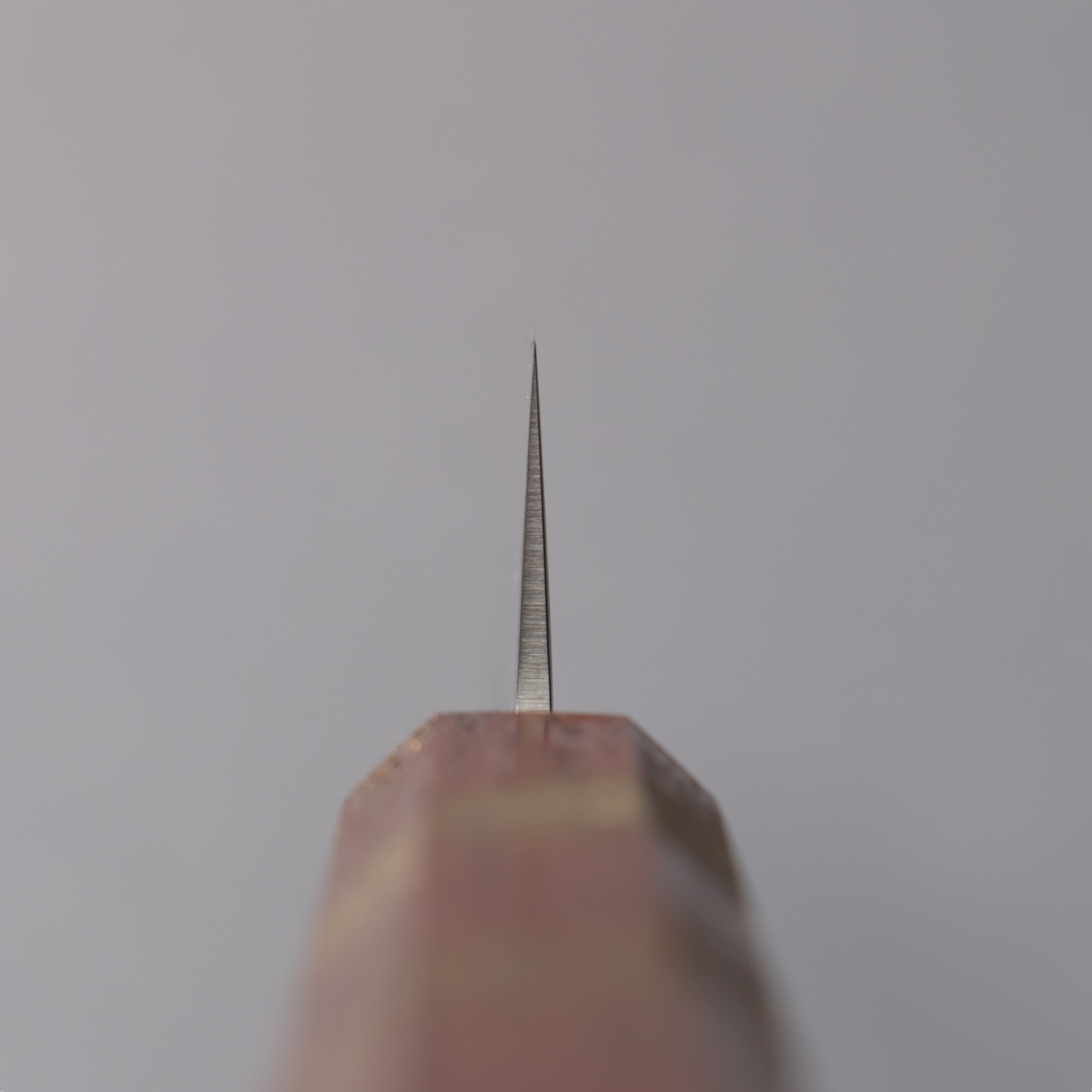 Sakai Takayuki VG10 33 Layer Damascus Sujihiki 240mm Live oak Lacquered (Seiren) Handle - Japanny - Best Japanese Knife