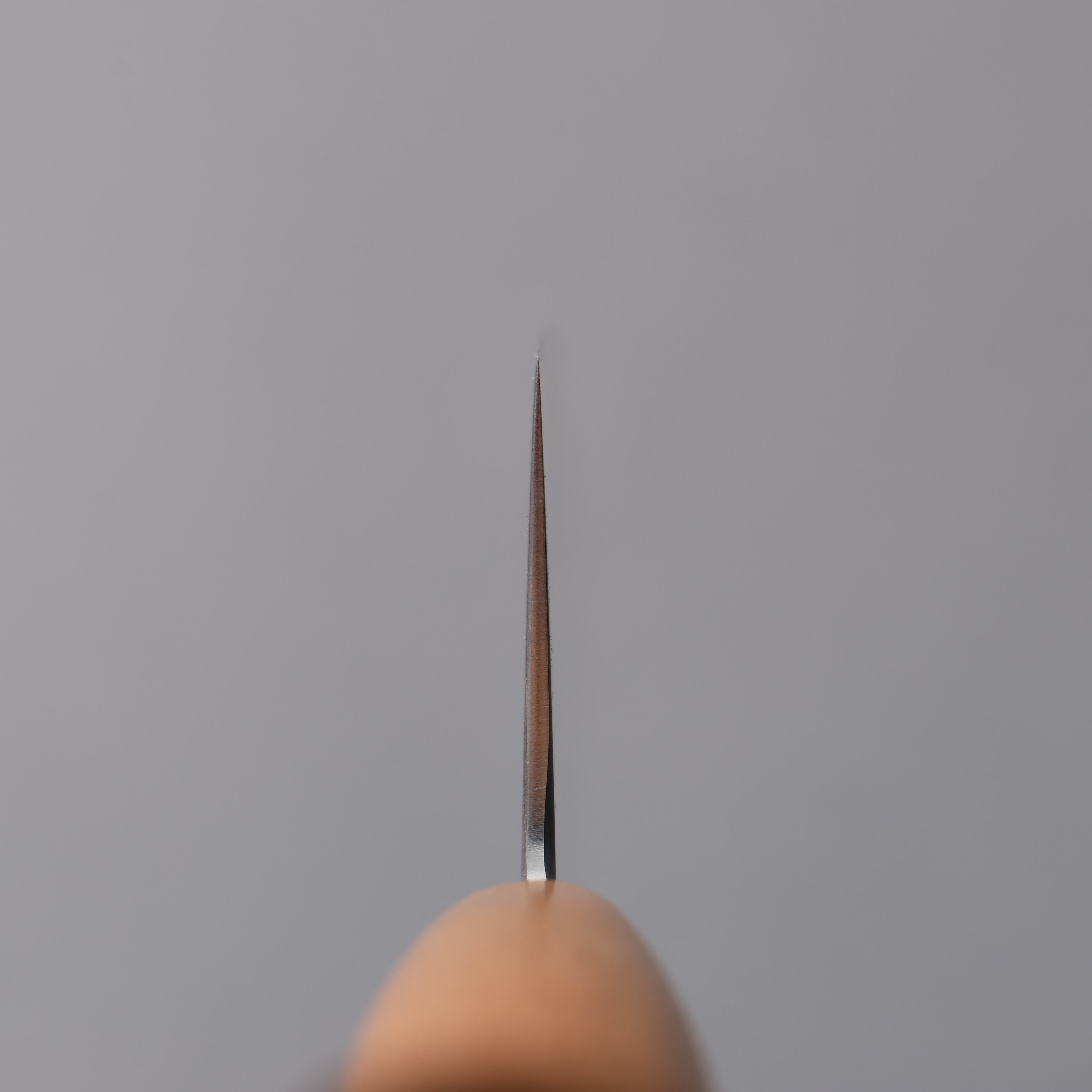 Jikko VG10 Gyuto 210mm Cherry Wood Handle - Japanny - Best Japanese Knife