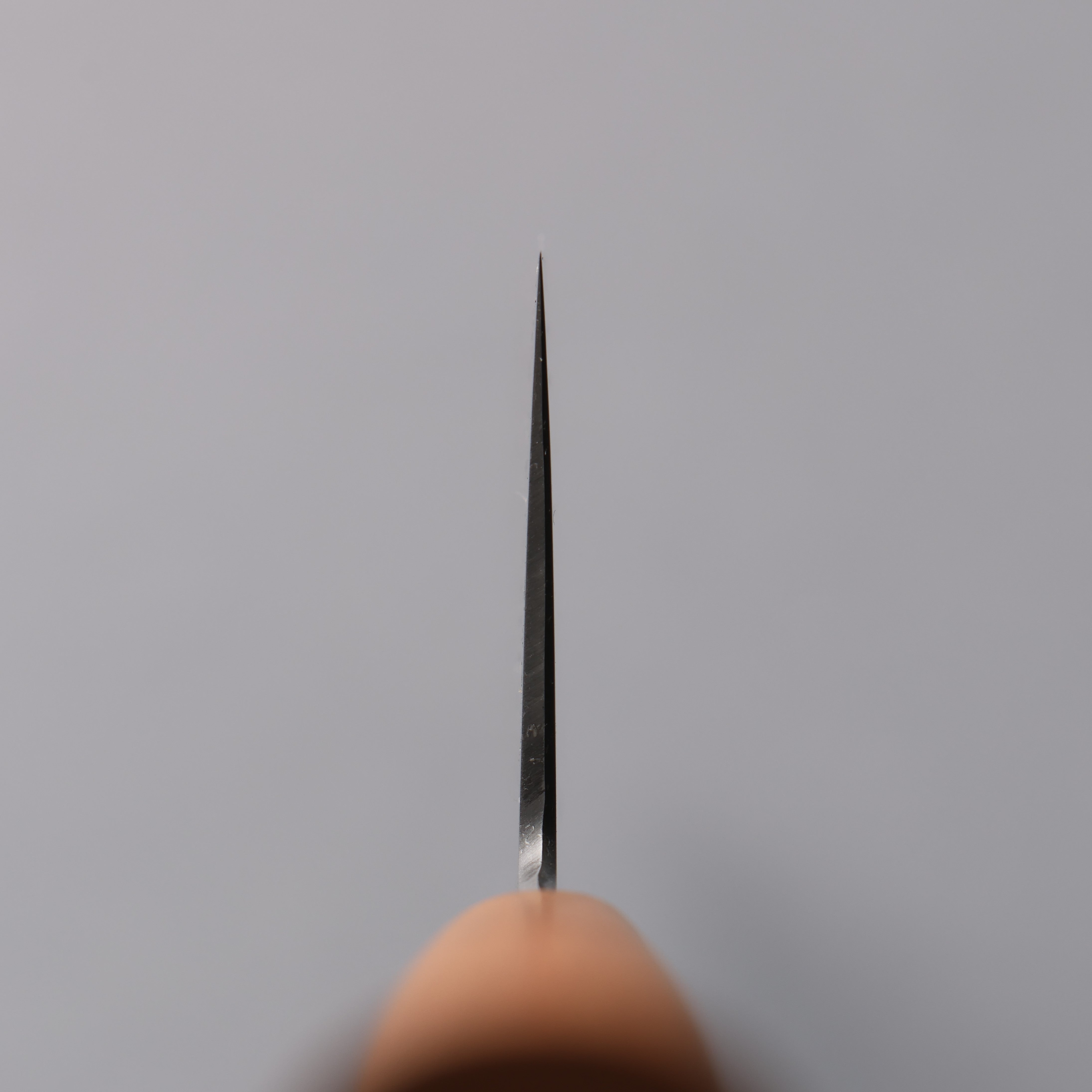 Jikko VG10 Gyuto 240mm Cherry Wood Handle - Japanny - Best Japanese Knife