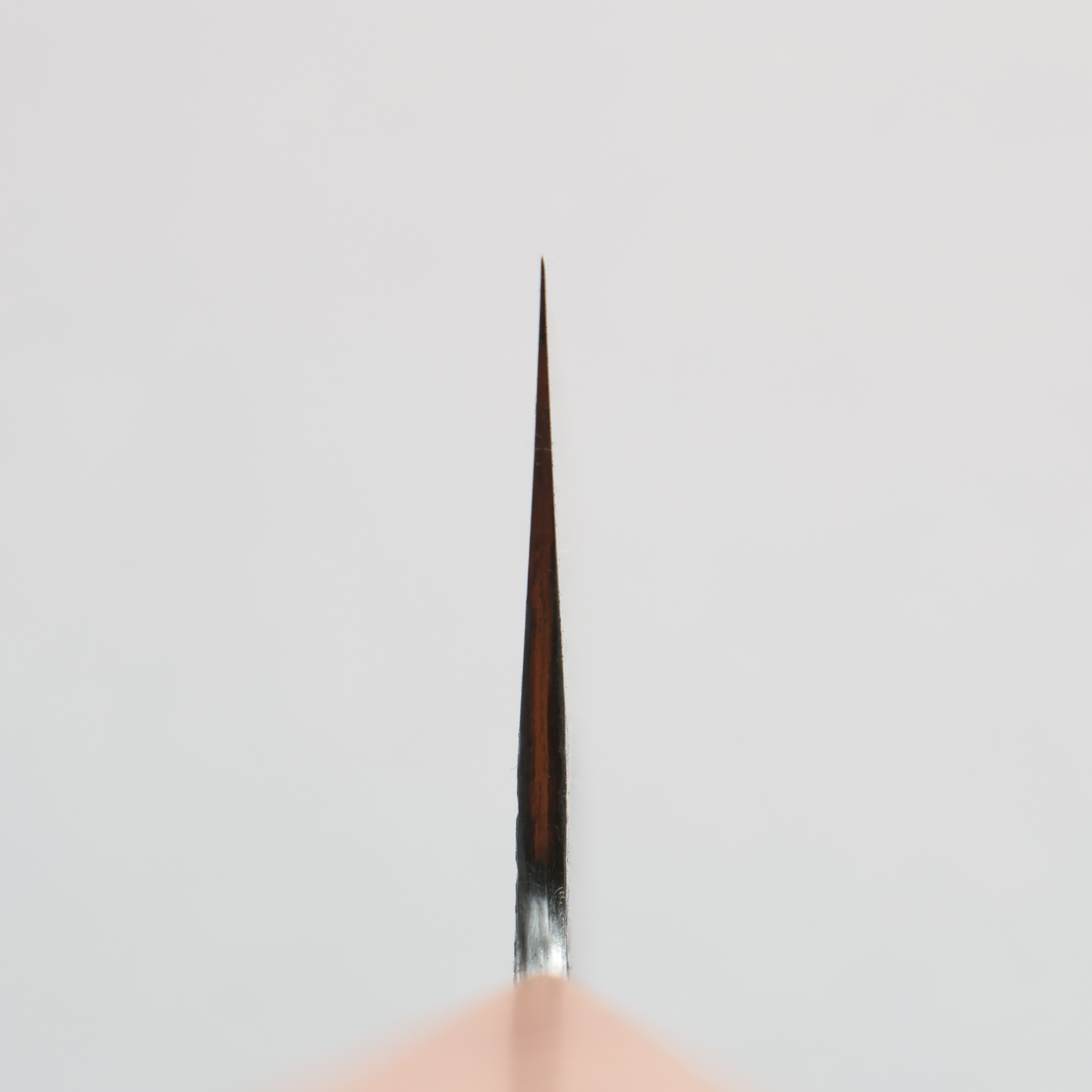 Isamitsu Abe White Steel No.1 Hammered Gyuto  240mm Japanese Elm (pentagonal) Handle - Japanny - Best Japanese Knife