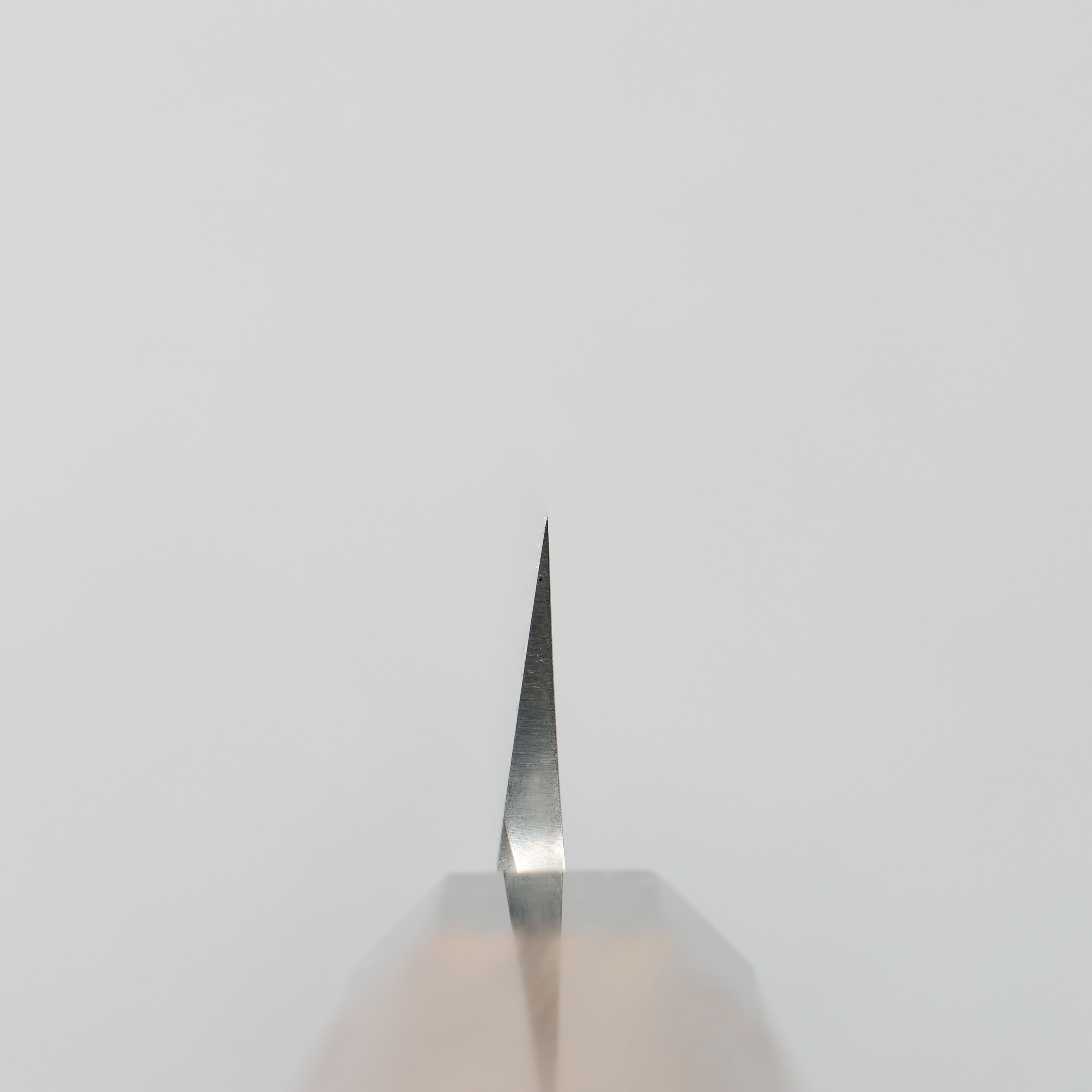 Sakai Takayuki Tokujyo White Steel No.2 Yanagiba Wenge with Double Water Buffalo Ring Handle - Japanny - Best Japanese Knife