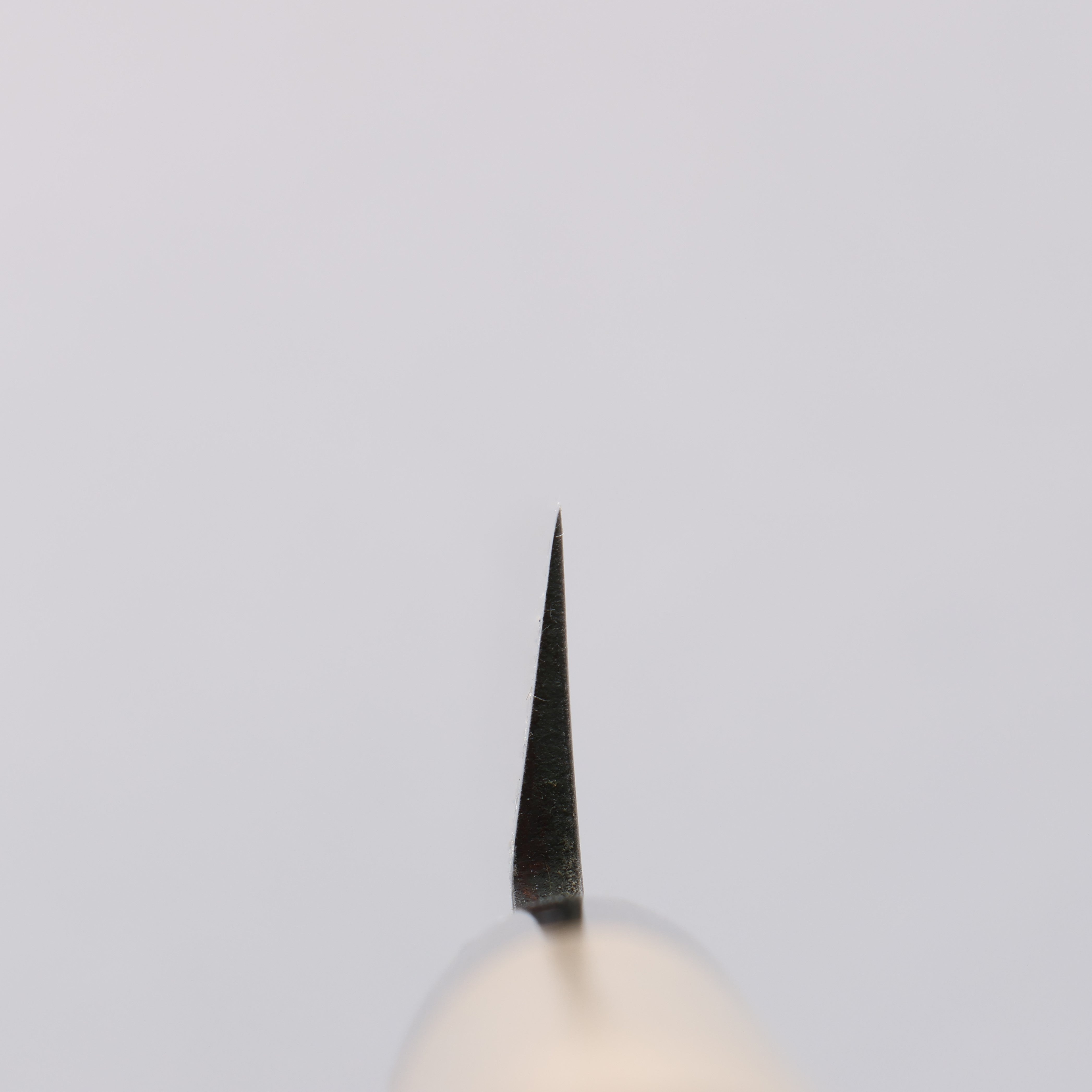 Seisuke Molybdenum Kasumitogi Yanagiba Magnolia Handle - Japanny - Best Japanese Knife