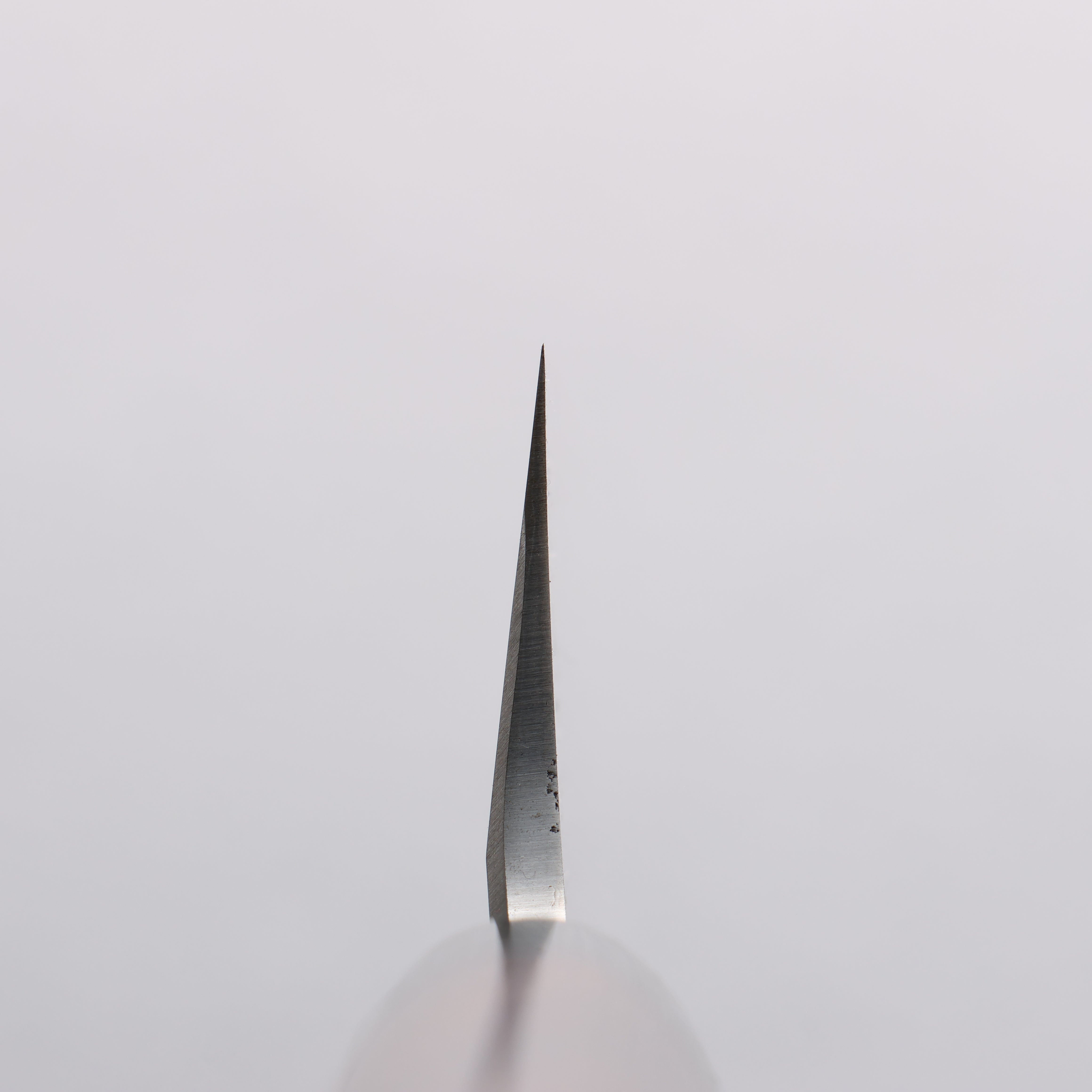 Jikko White Steel No.2 Usuba 195mm Shitan Handle - Japanny - Best Japanese Knife