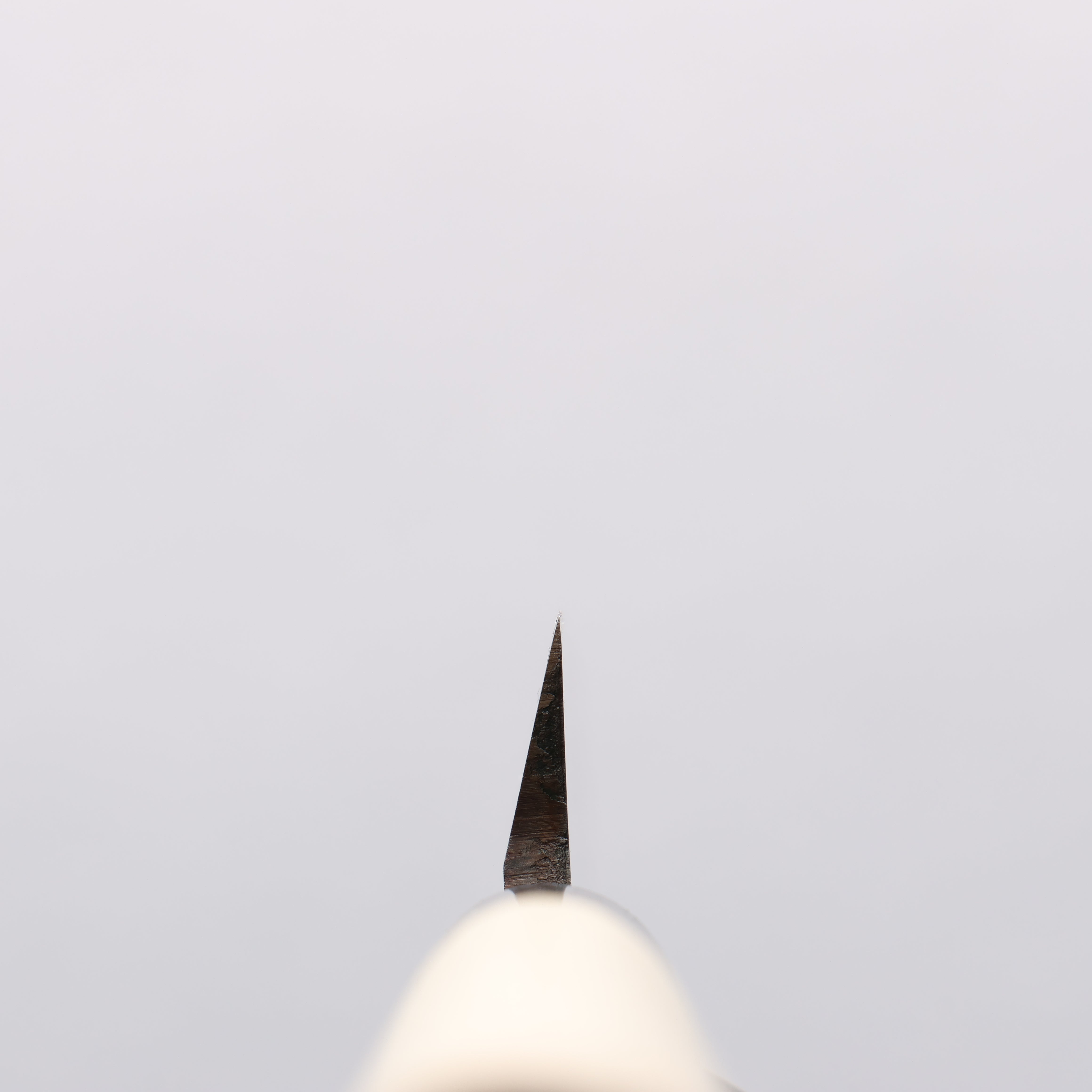 Sakai Takayuki INOX Molybdenum Baran 120mm Magnolia Handle - Japanny - Best Japanese Knife