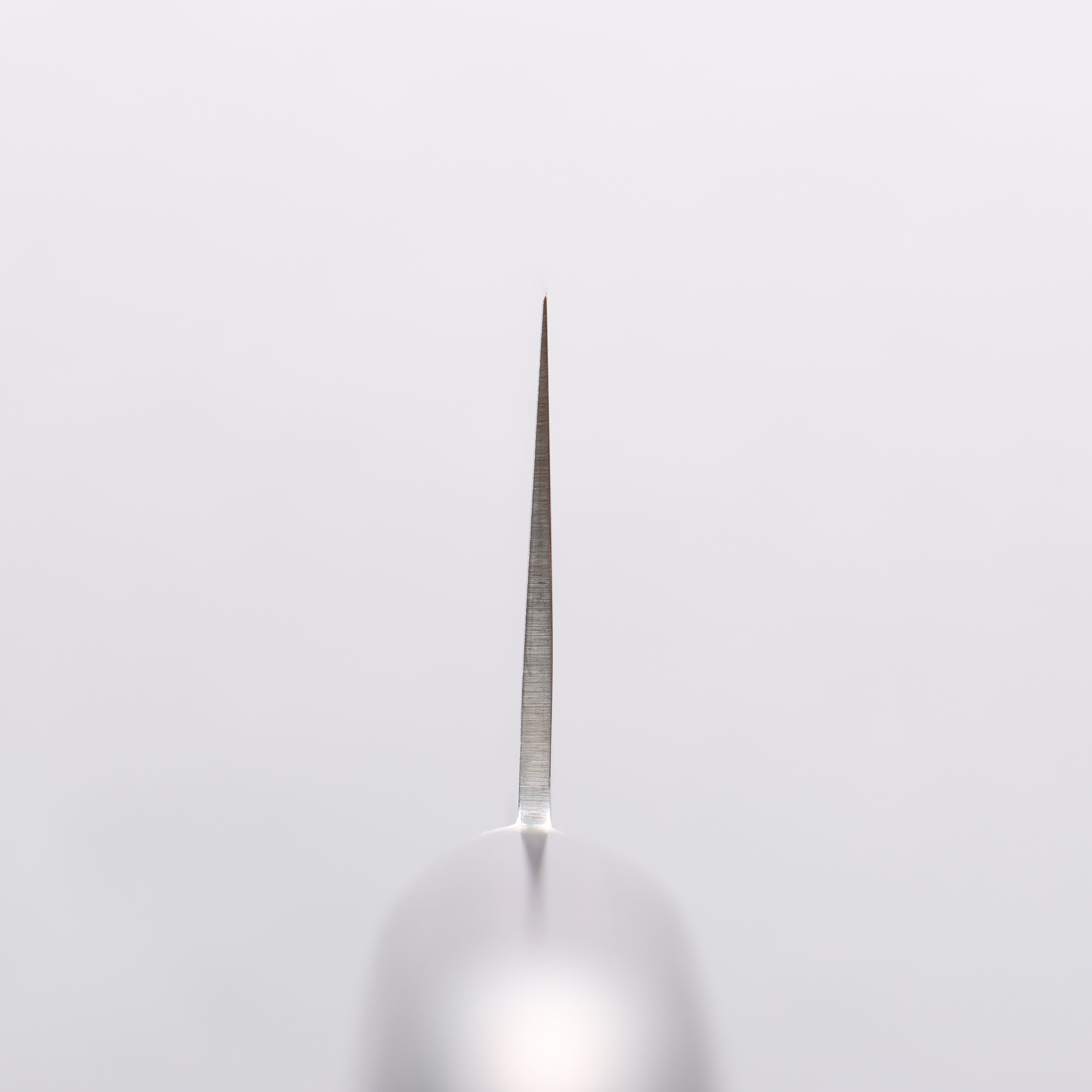 Higuchi SG2 Santoku 180mm Navy blue Pakka wood Handle - Japanny - Best Japanese Knife