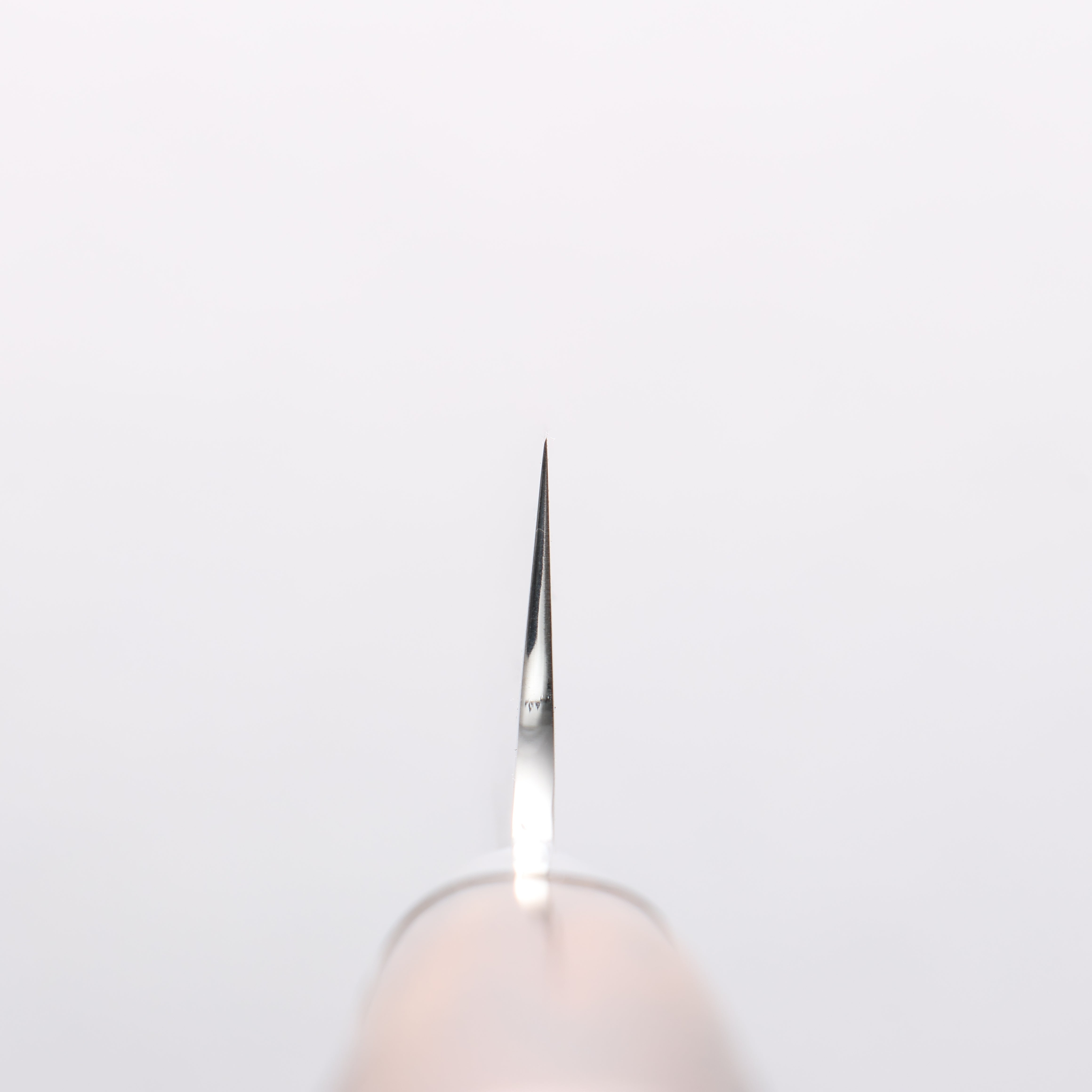 Sakai Takayuki VG10 33 Layer Damascus Sujihiki 240mm Desert Ironwood(Sugihara model) Handle - Japanny - Best Japanese Knife