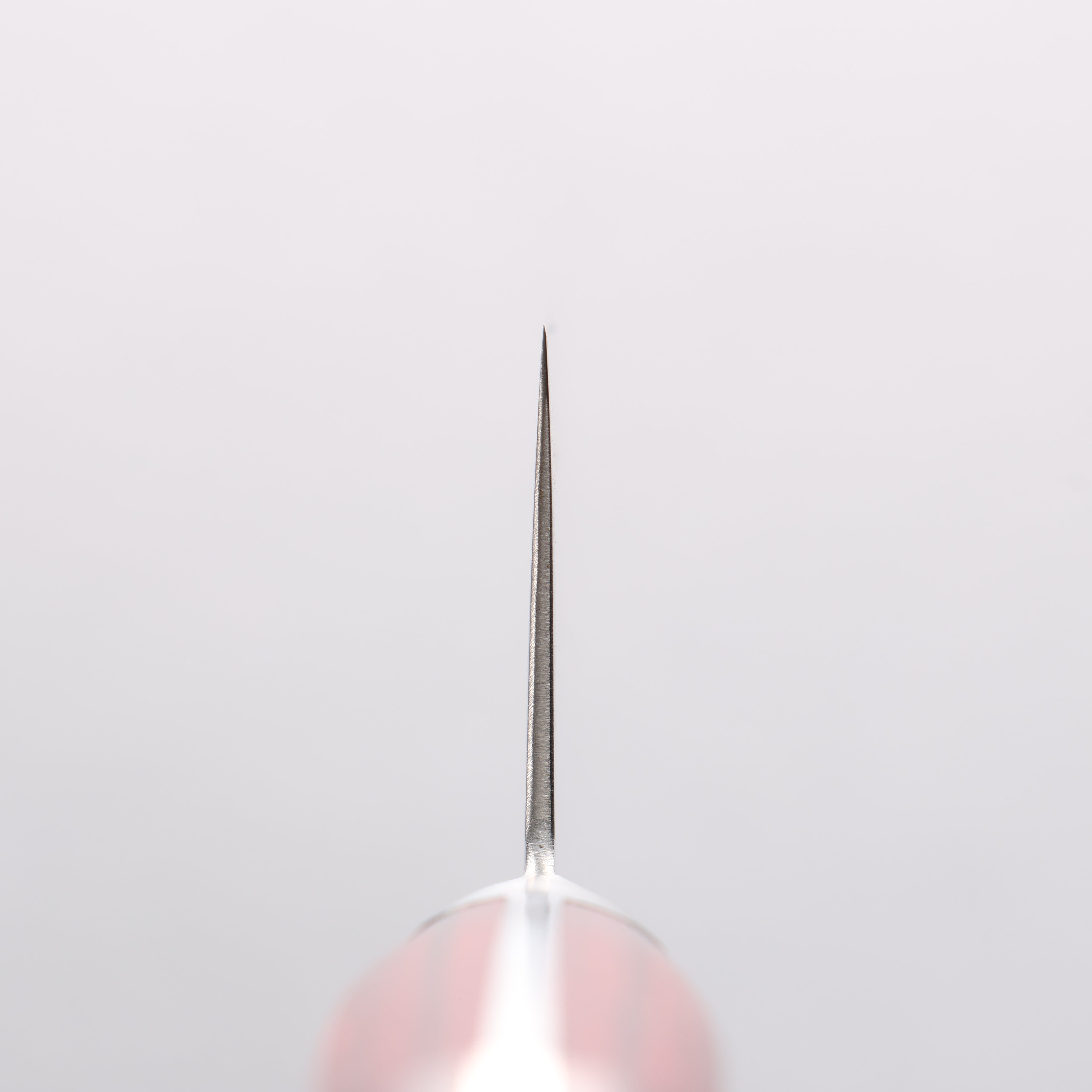 Seisuke Nami AUS10 Mirrored Finish Damascus Gyuto 210mm Red Pakka wood Handle - Japanny - Best Japanese Knife