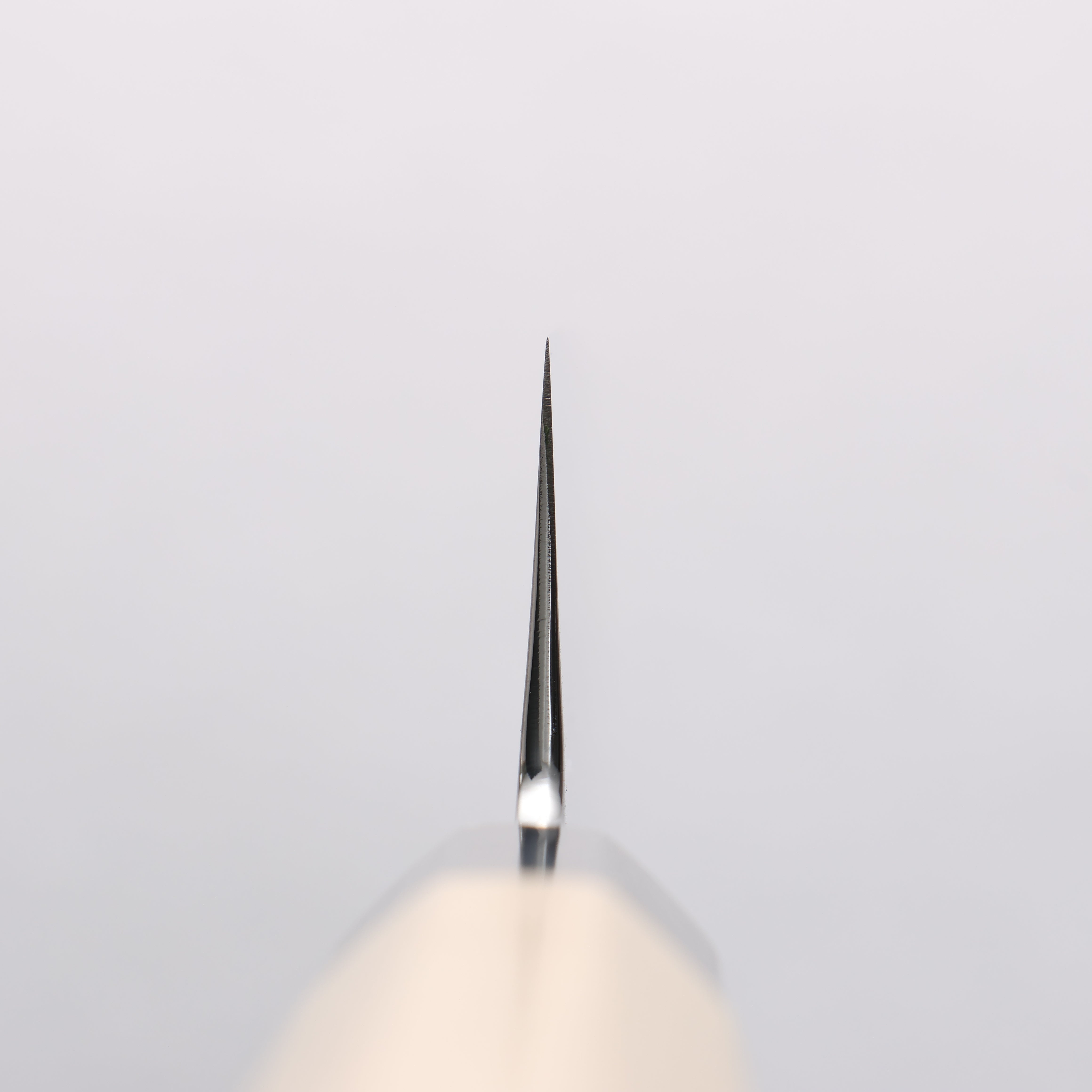 Choyo Silver Steel No.3 Mirrored Finish Kiritsuke Gyuto 210mm Magnolia Handle - Japanny - Best Japanese Knife