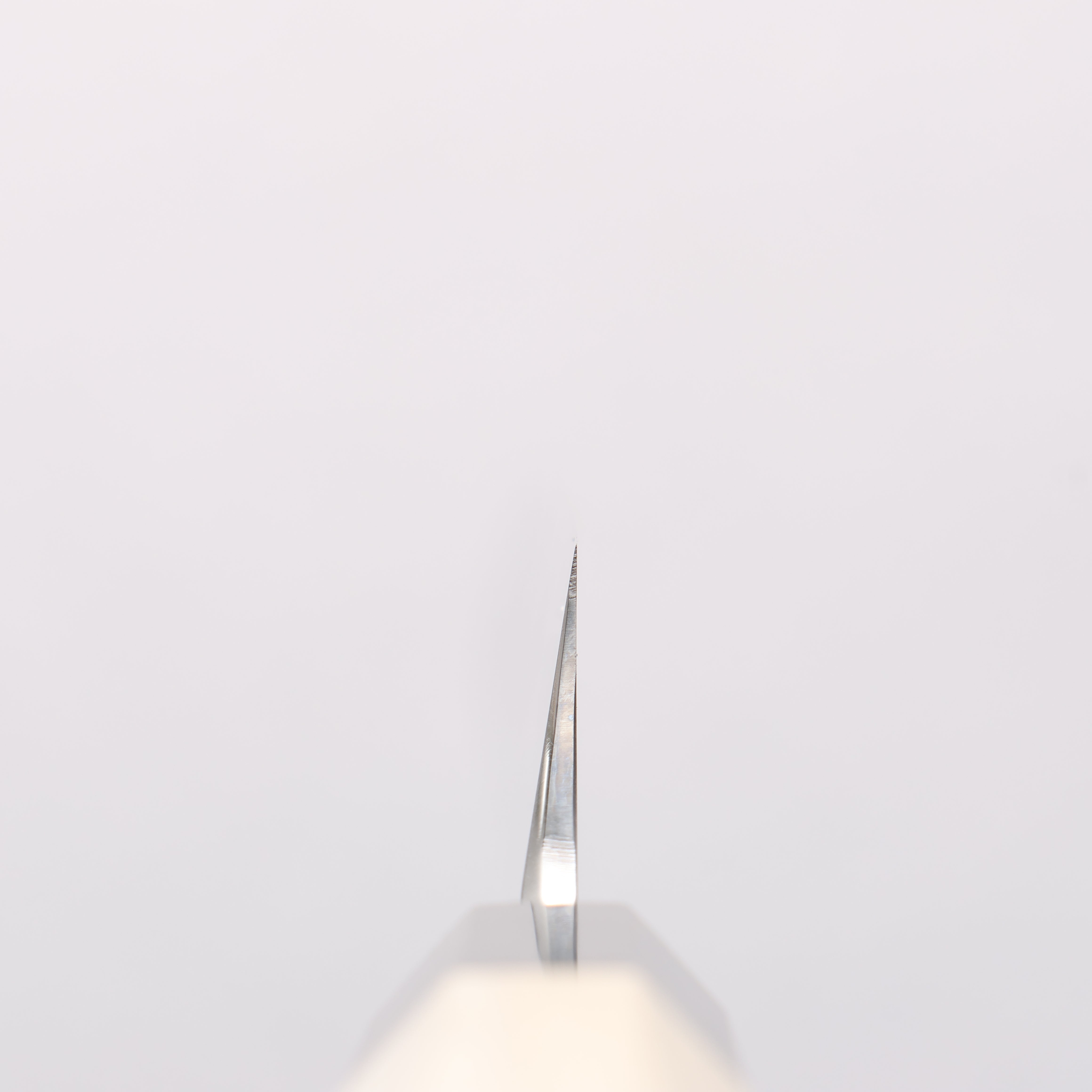 Choyo Silver Steel No.3 Mirrored Finish Yanagiba 240mm Magnolia Handle - Japanny - Best Japanese Knife