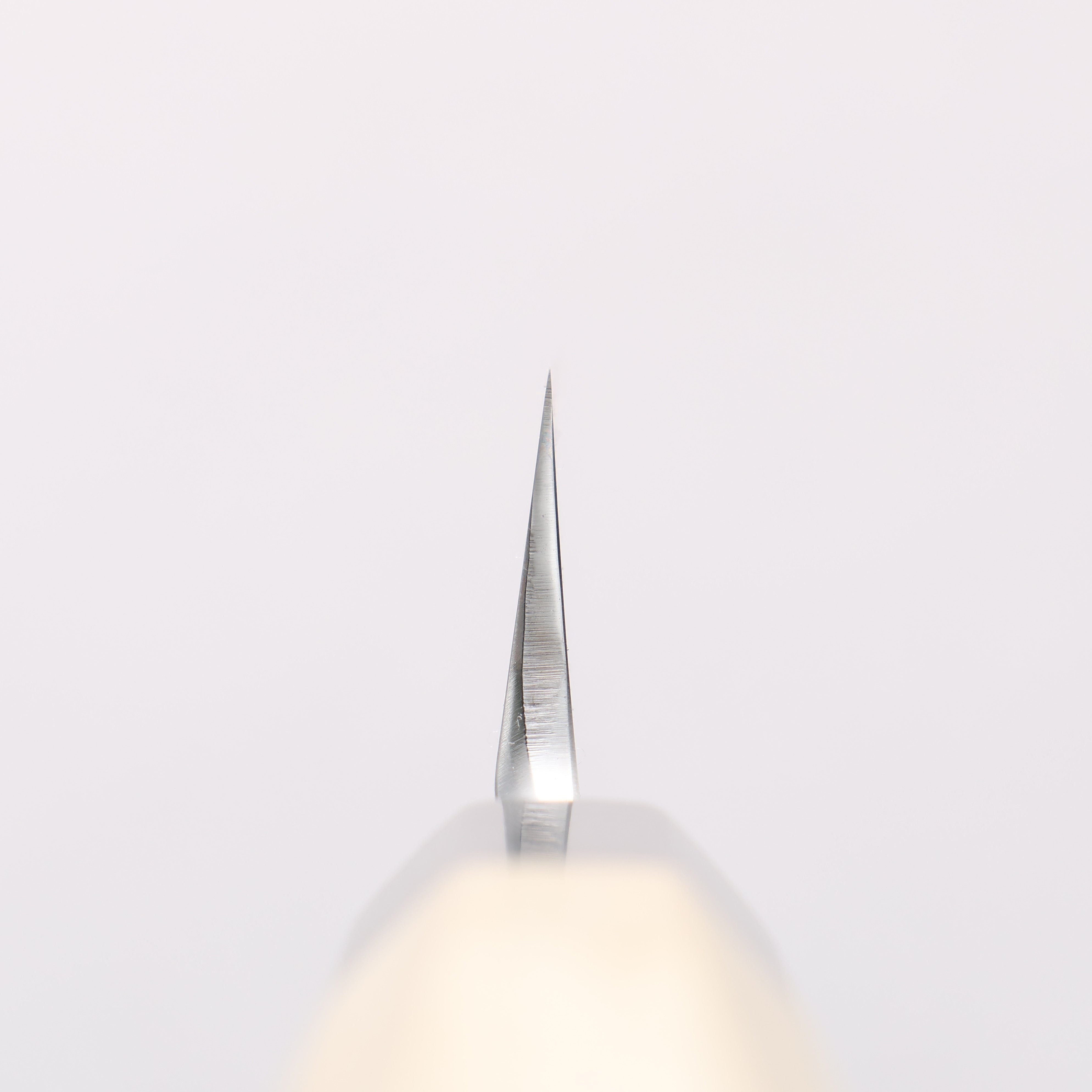 Choyo Blue Steel No.1 Mirrored Finish Kiritsuke Yanagiba 270mm - Japanny - Best Japanese Knife